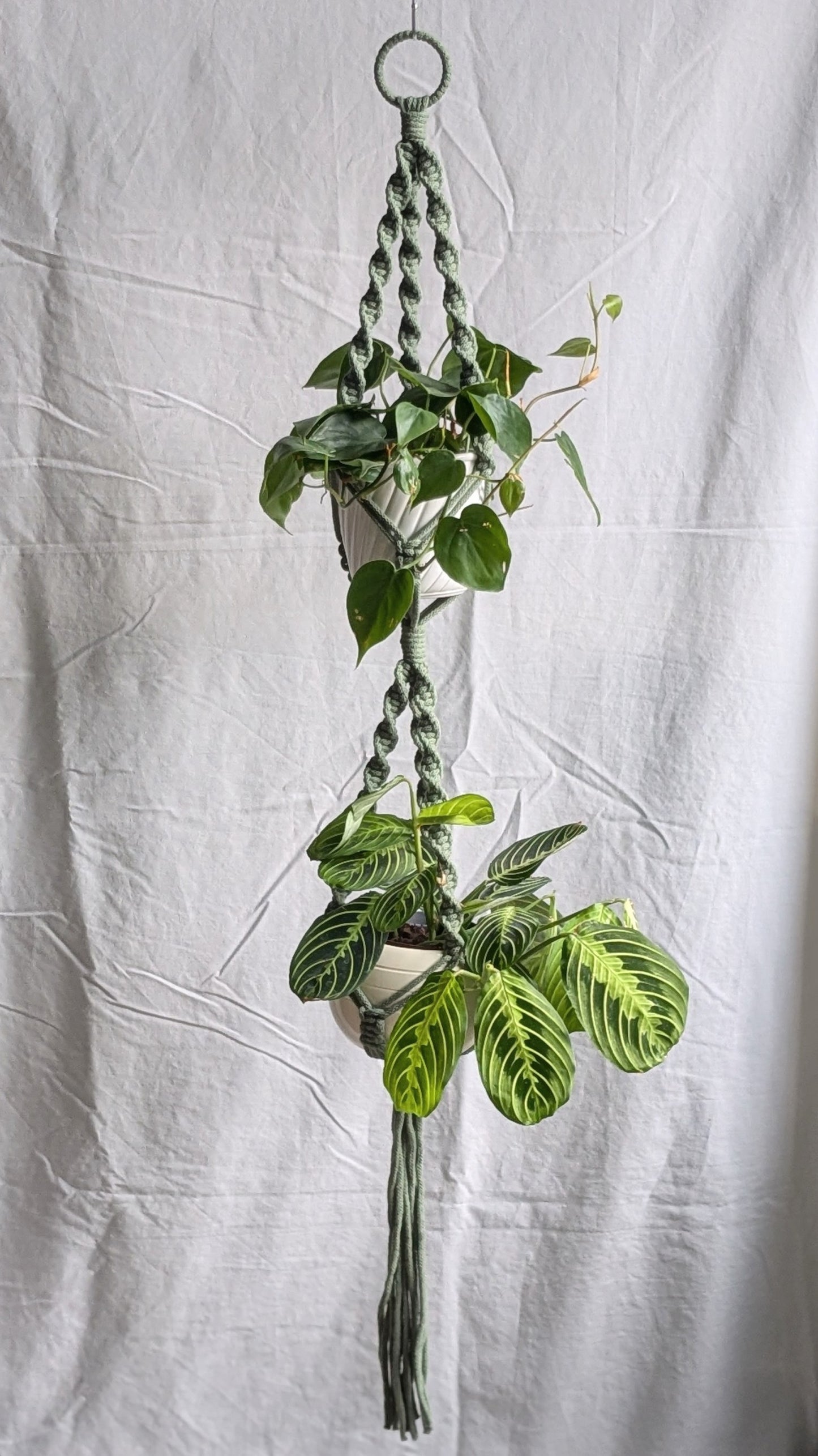 CharKnots double macrame plant hanger handmade in Sheffield from 100% recycled cotton.