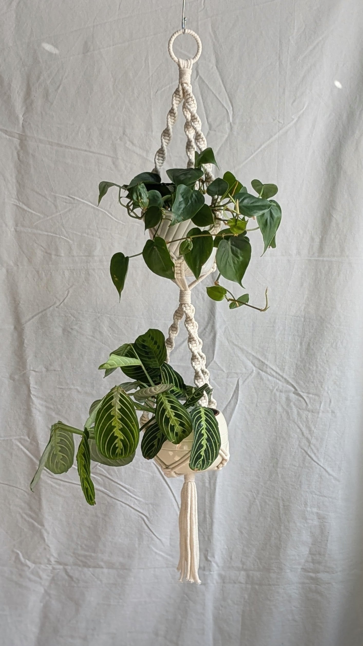 CharKnots double macrame plant hanger handmade in Sheffield from 100% recycled cotton.