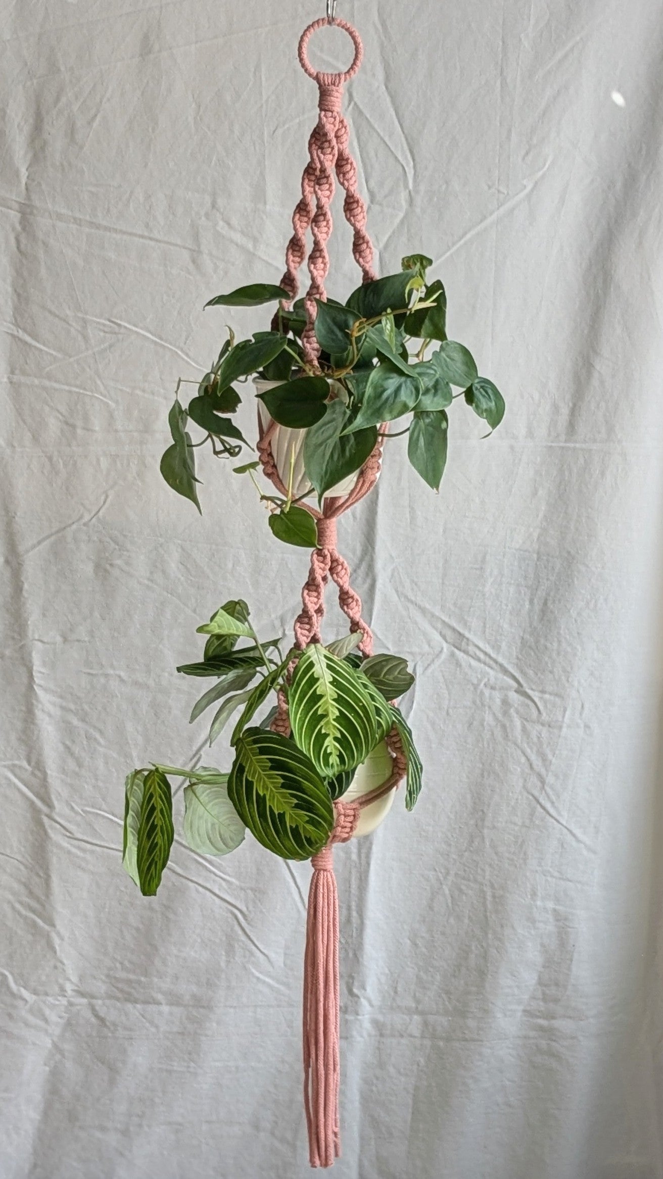 CharKnots double macrame plant hanger handmade in Sheffield from 100% recycled cotton.