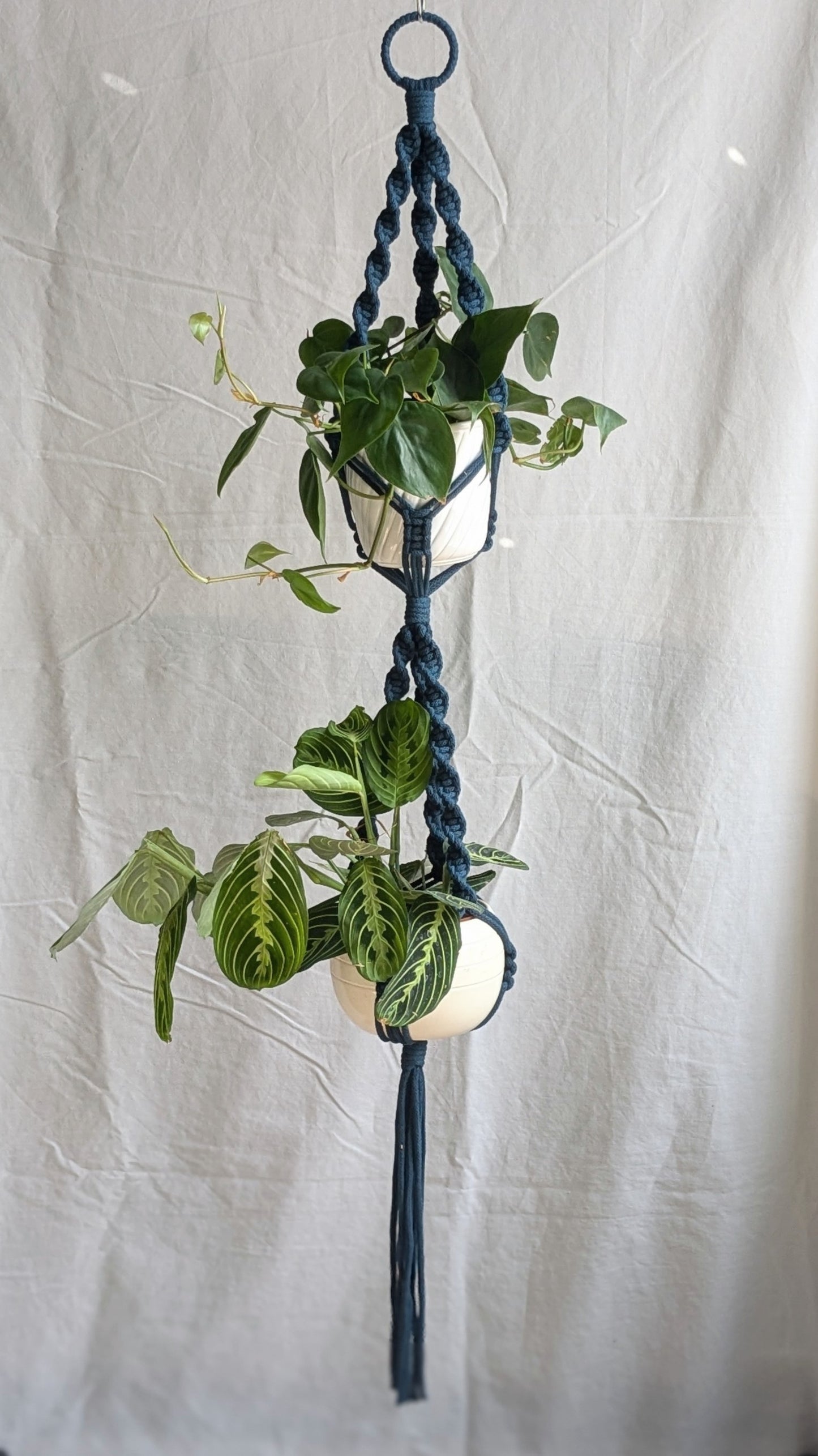 CharKnots double macrame plant hanger handmade in Sheffield from 100% recycled cotton.