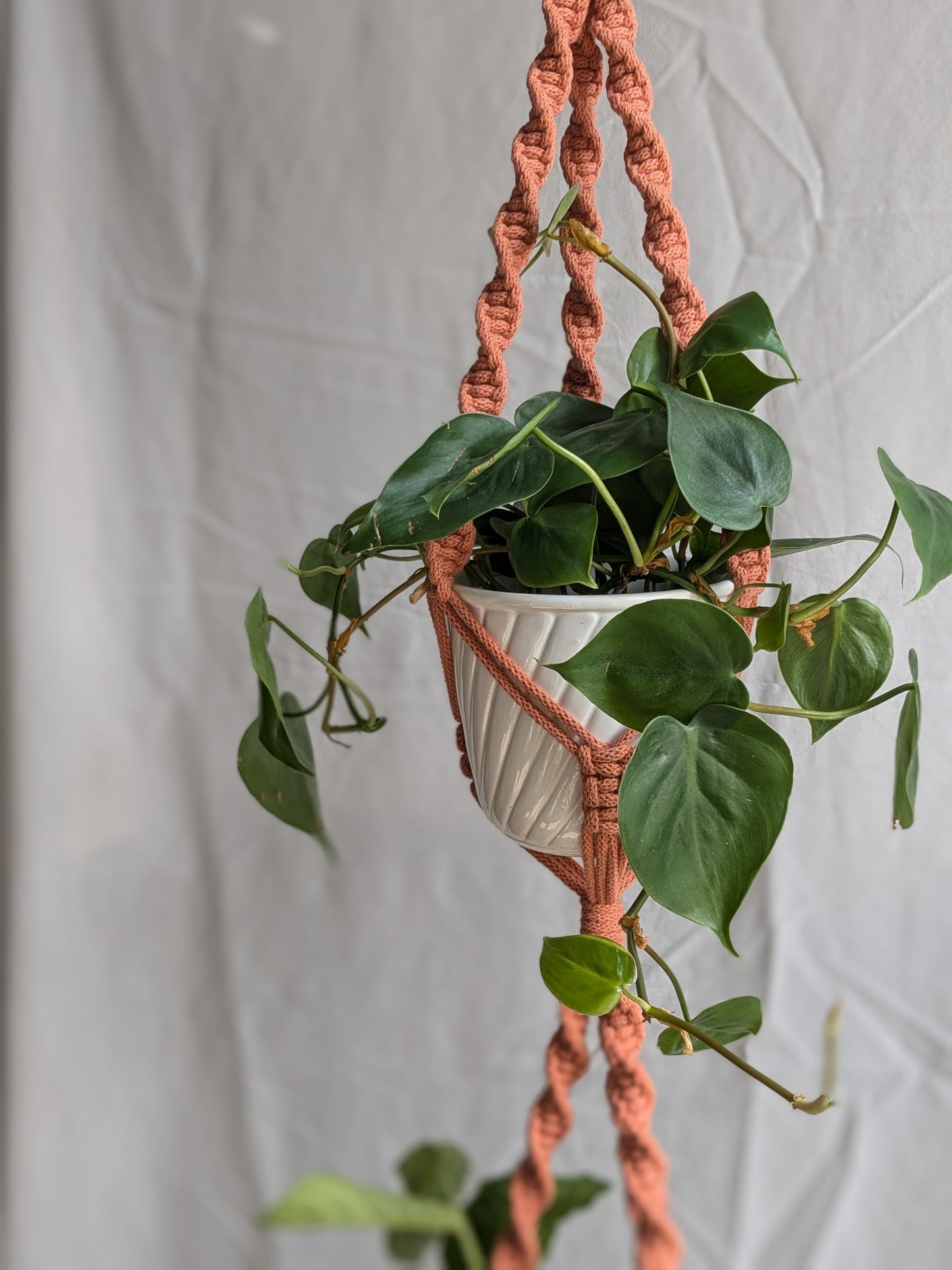 CharKnots double macrame plant hanger handmade in Sheffield from 100% recycled cotton.