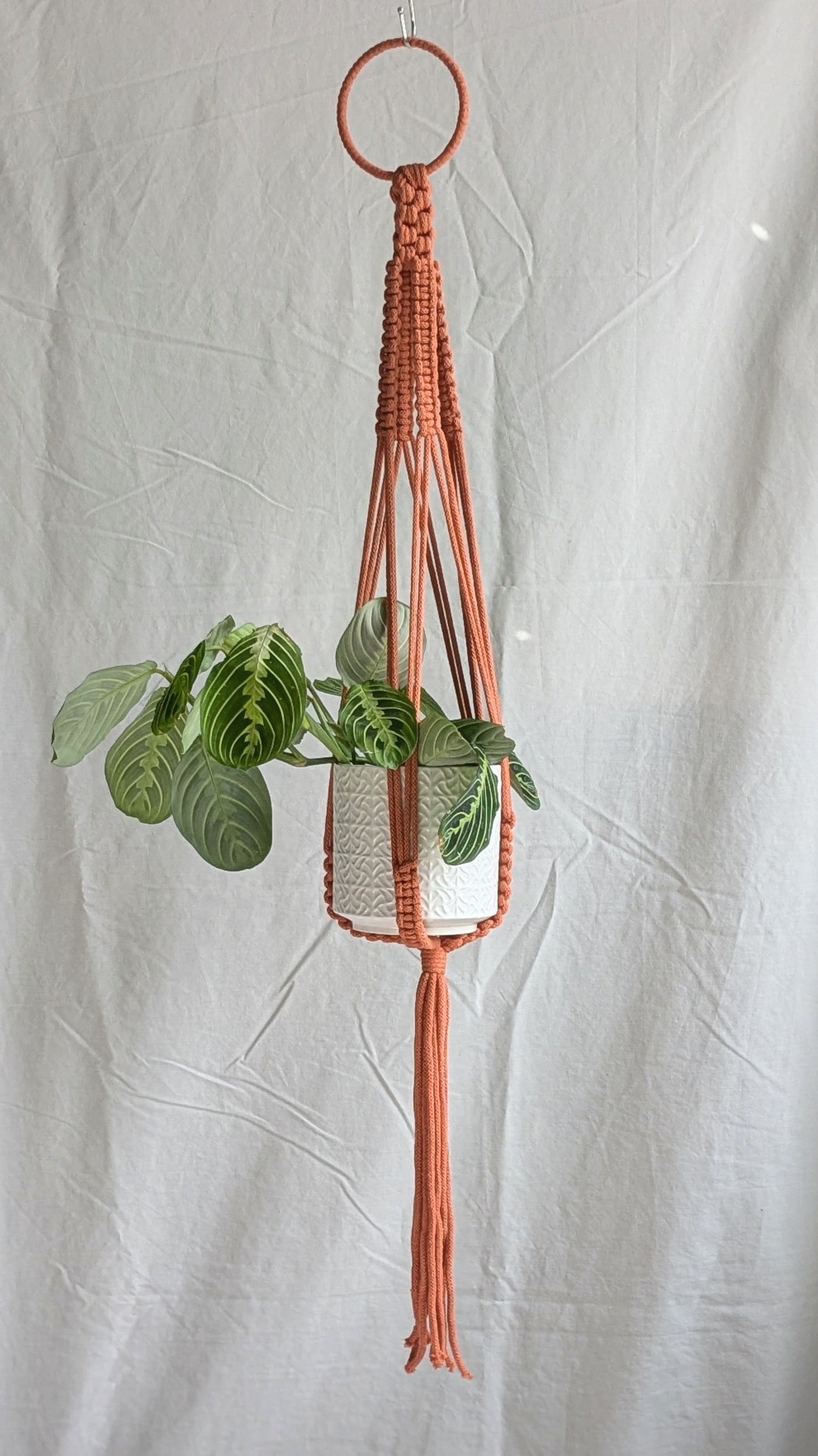 Large Macrame Plant Hanger