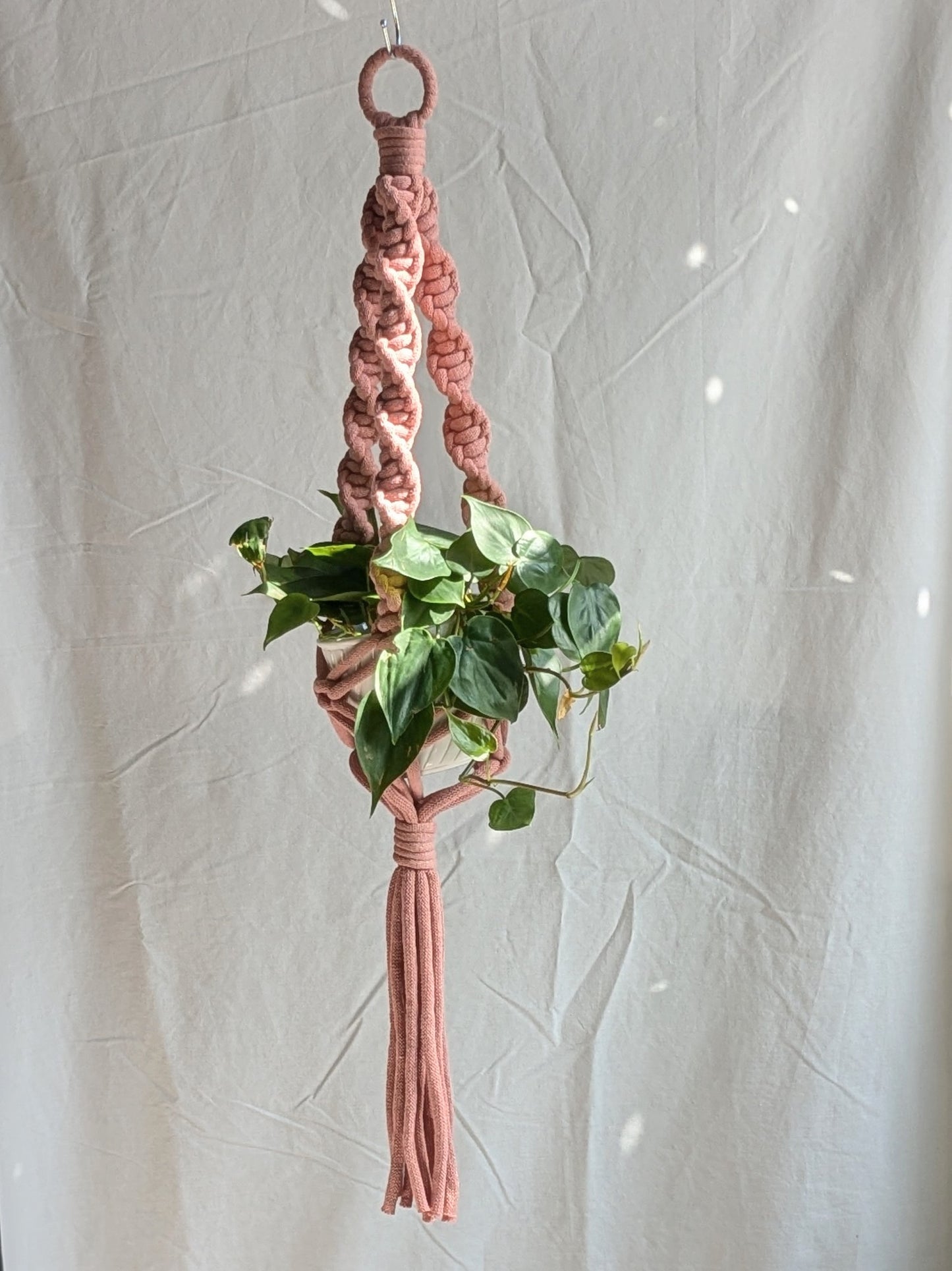 Marshmallow Plant Hanger