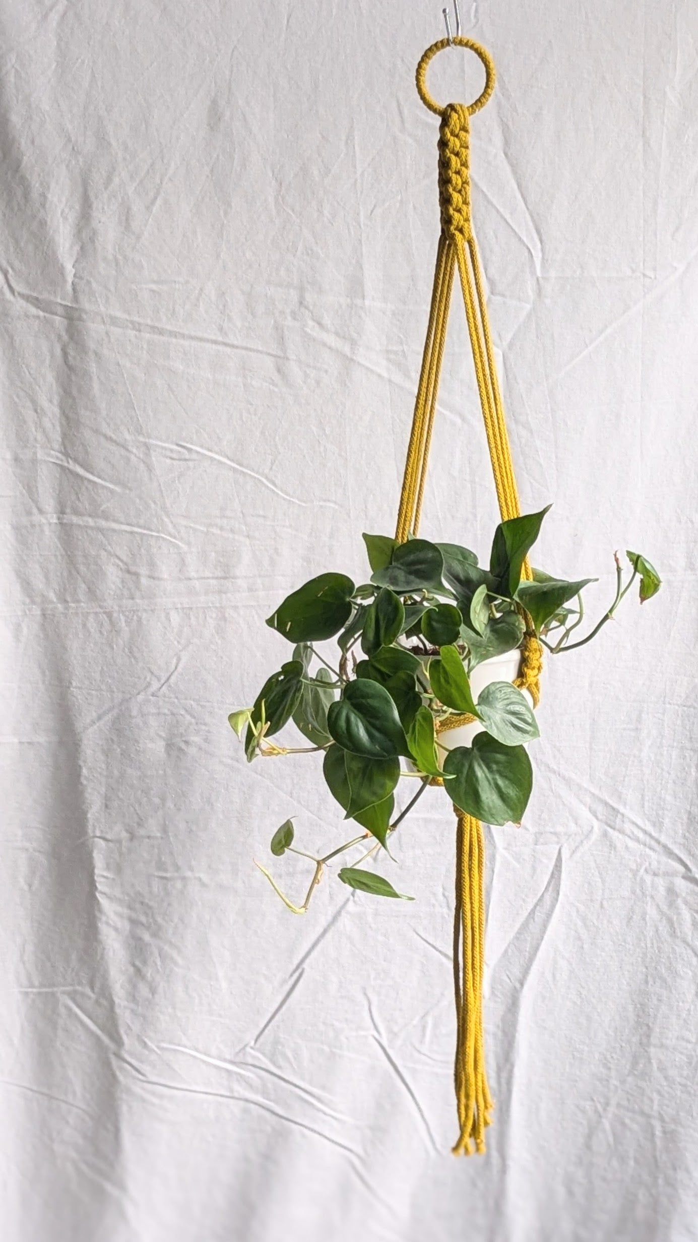 Small Plant Hanger