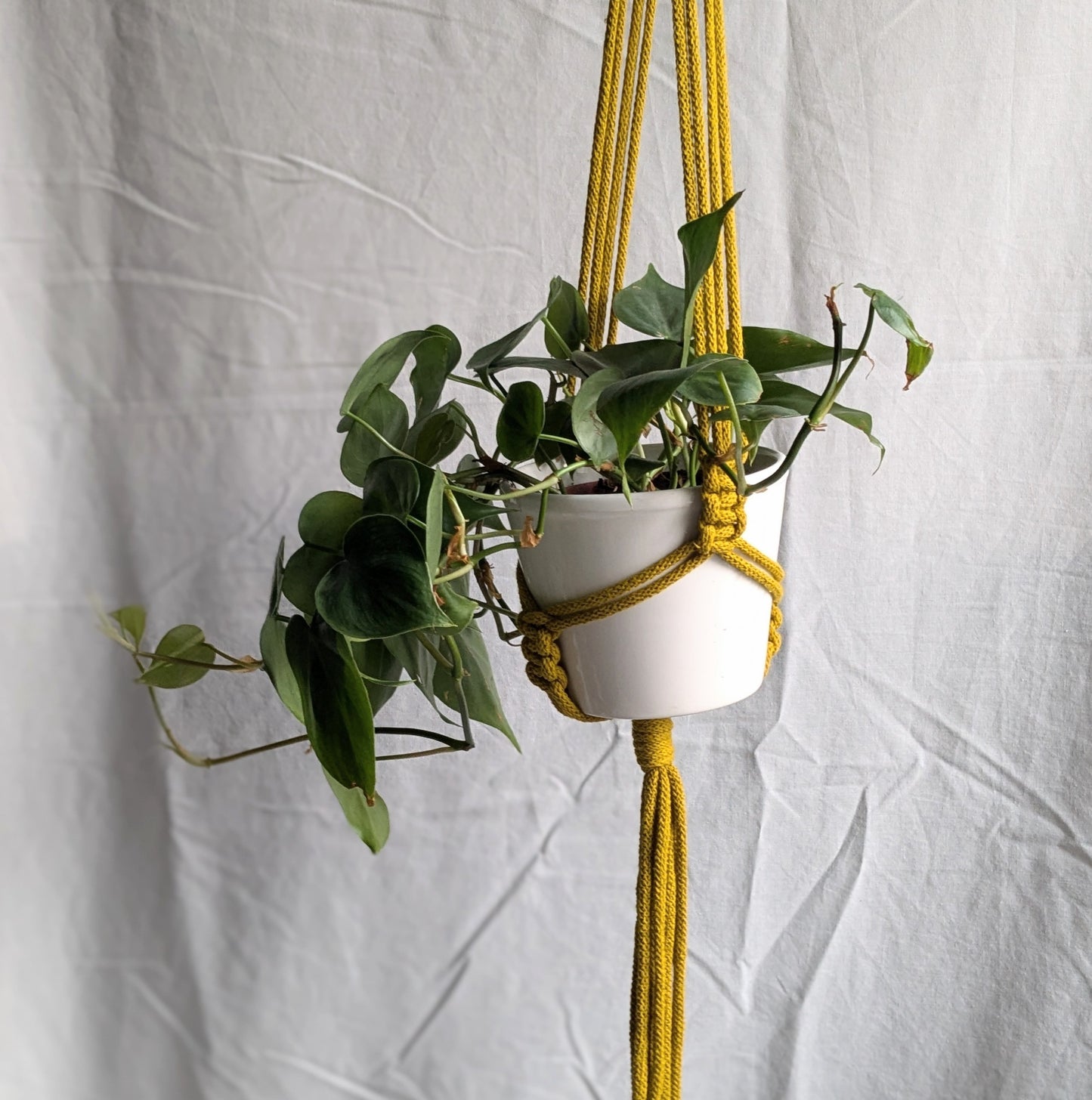 Small Plant Hanger