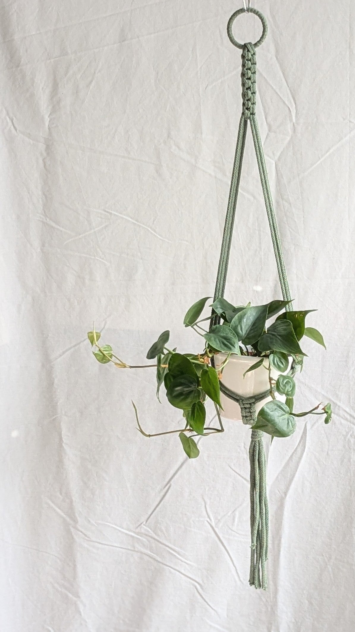 Small Plant Hanger