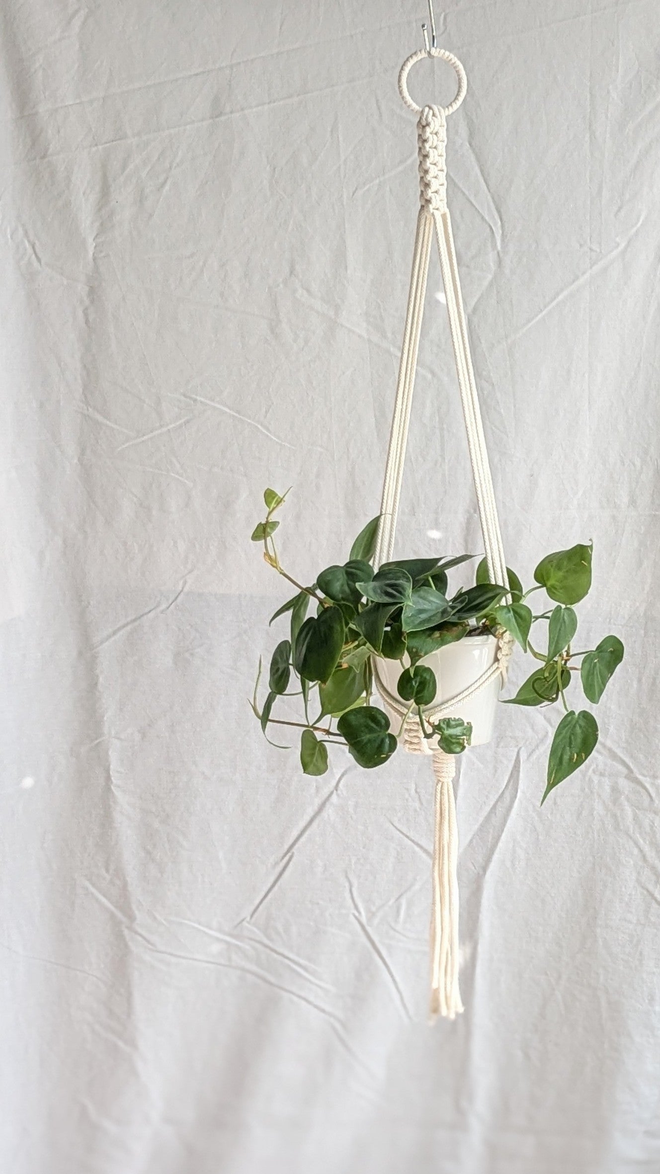 Small Plant Hanger