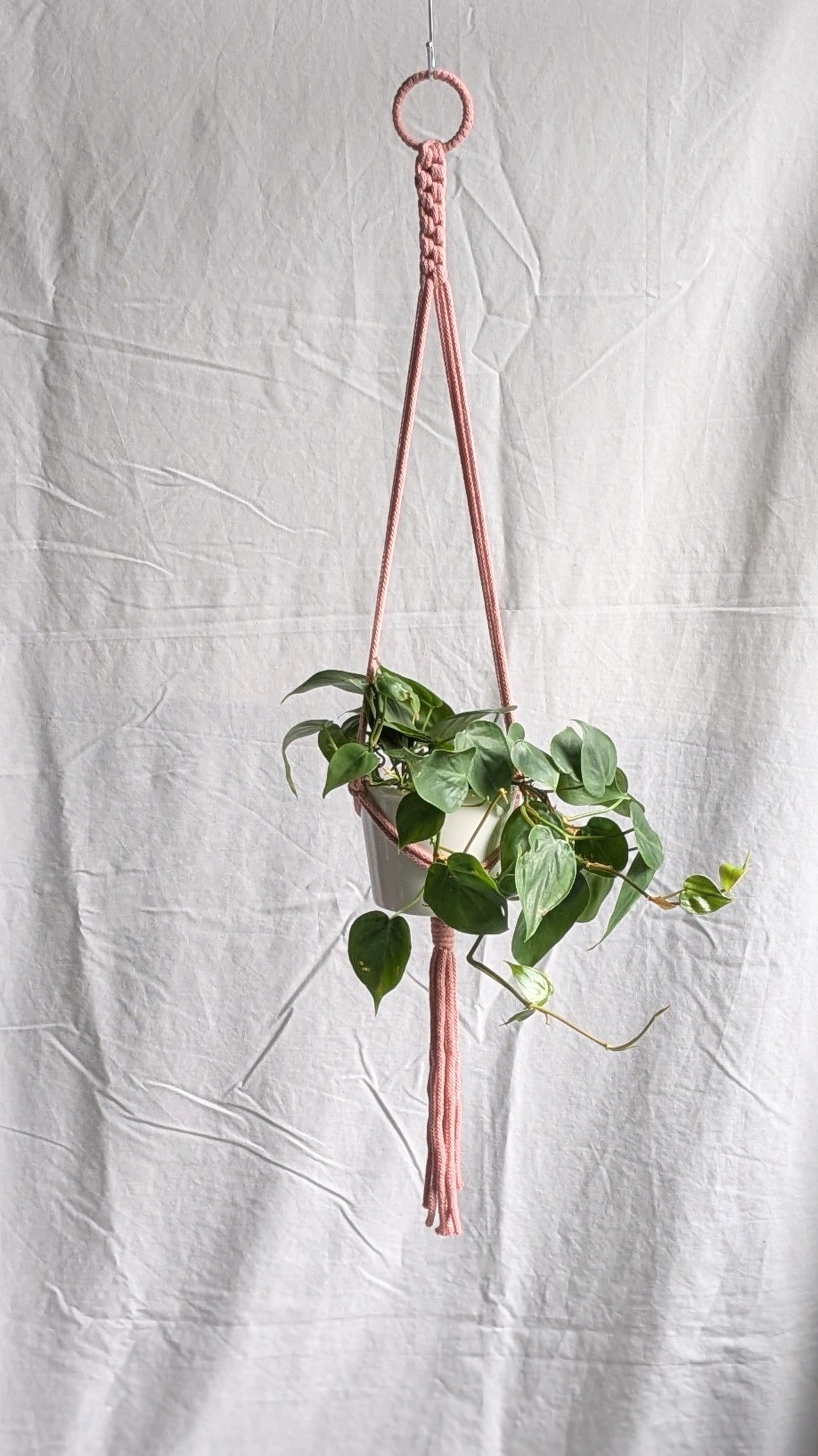 Small Plant Hanger