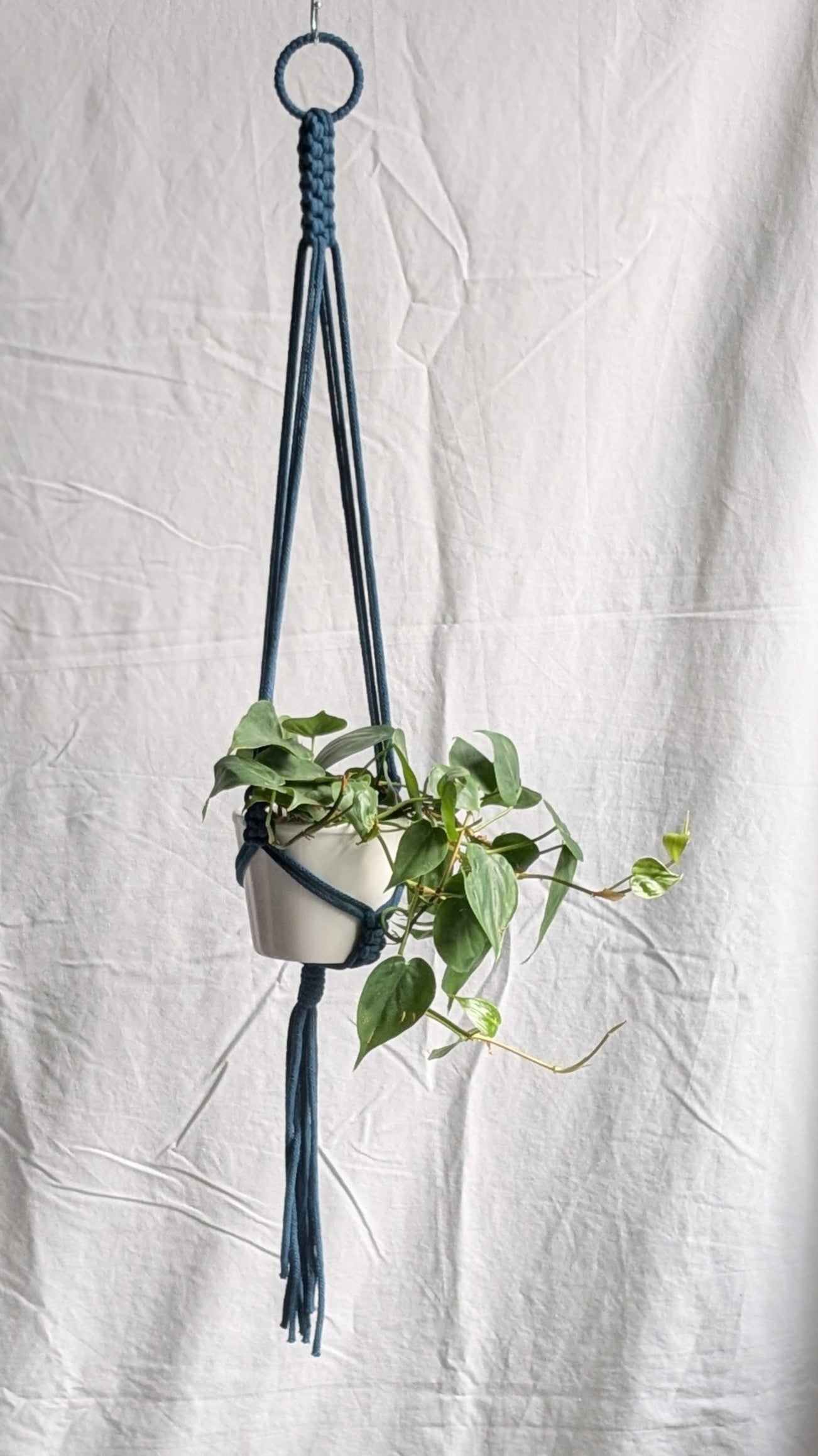 Small Plant Hanger