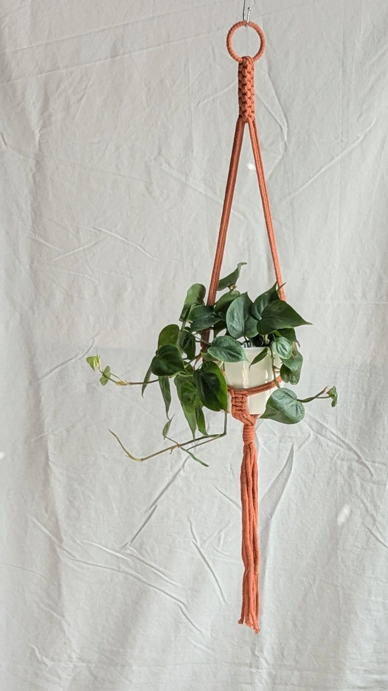 Small Plant Hanger