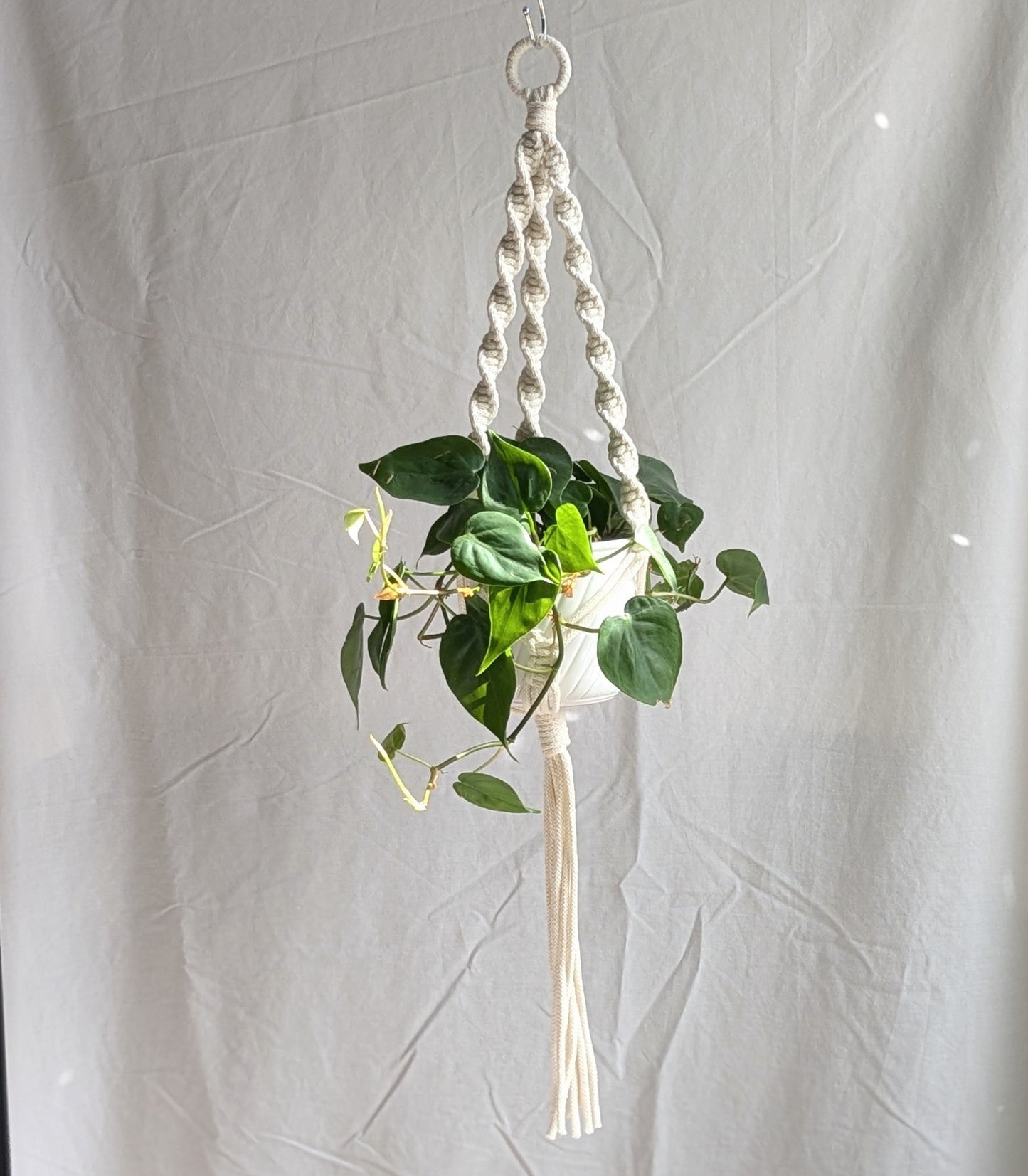 Spiral Macrame Plant Hanger