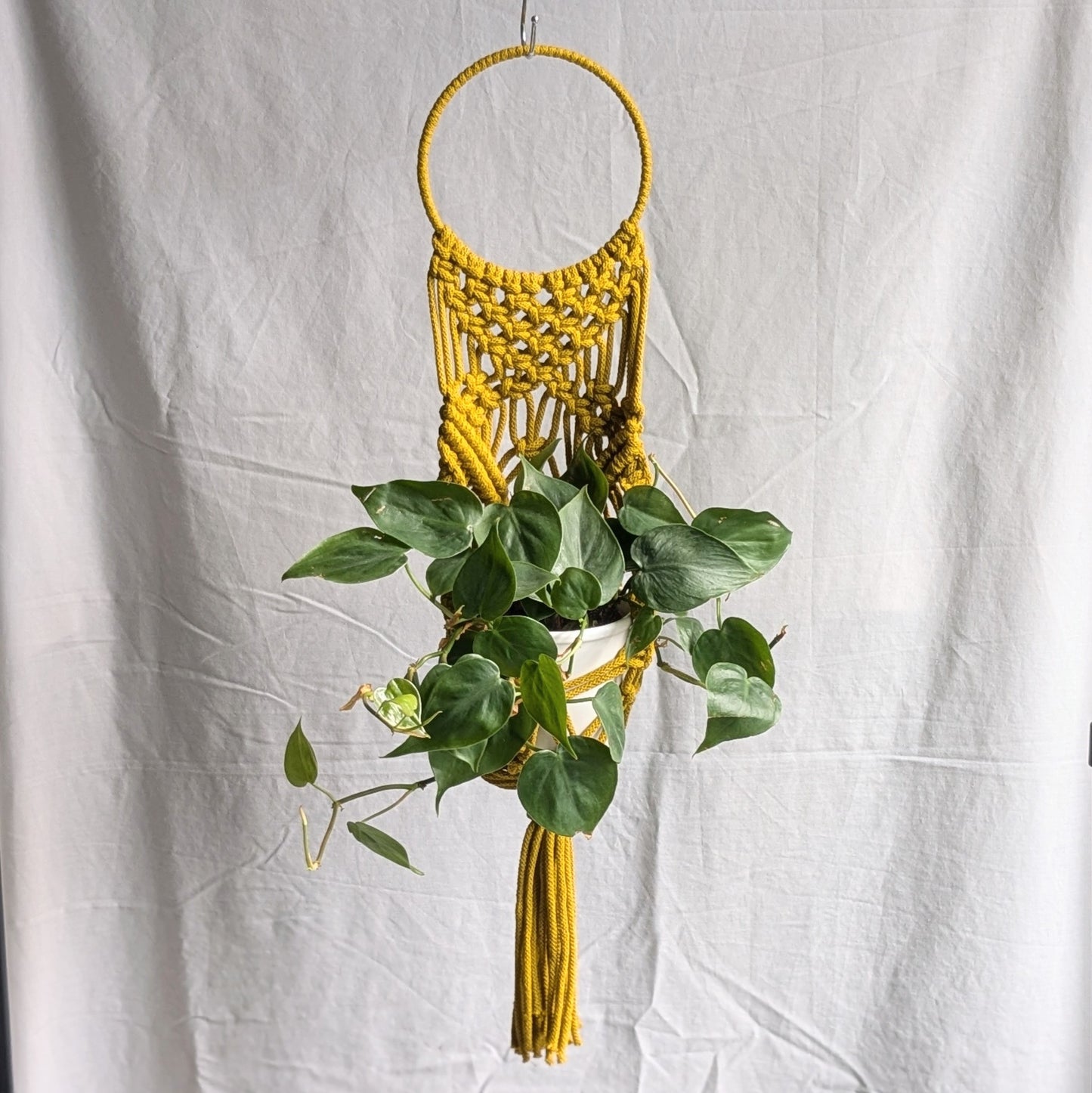 Statement Macrame Wall Planter