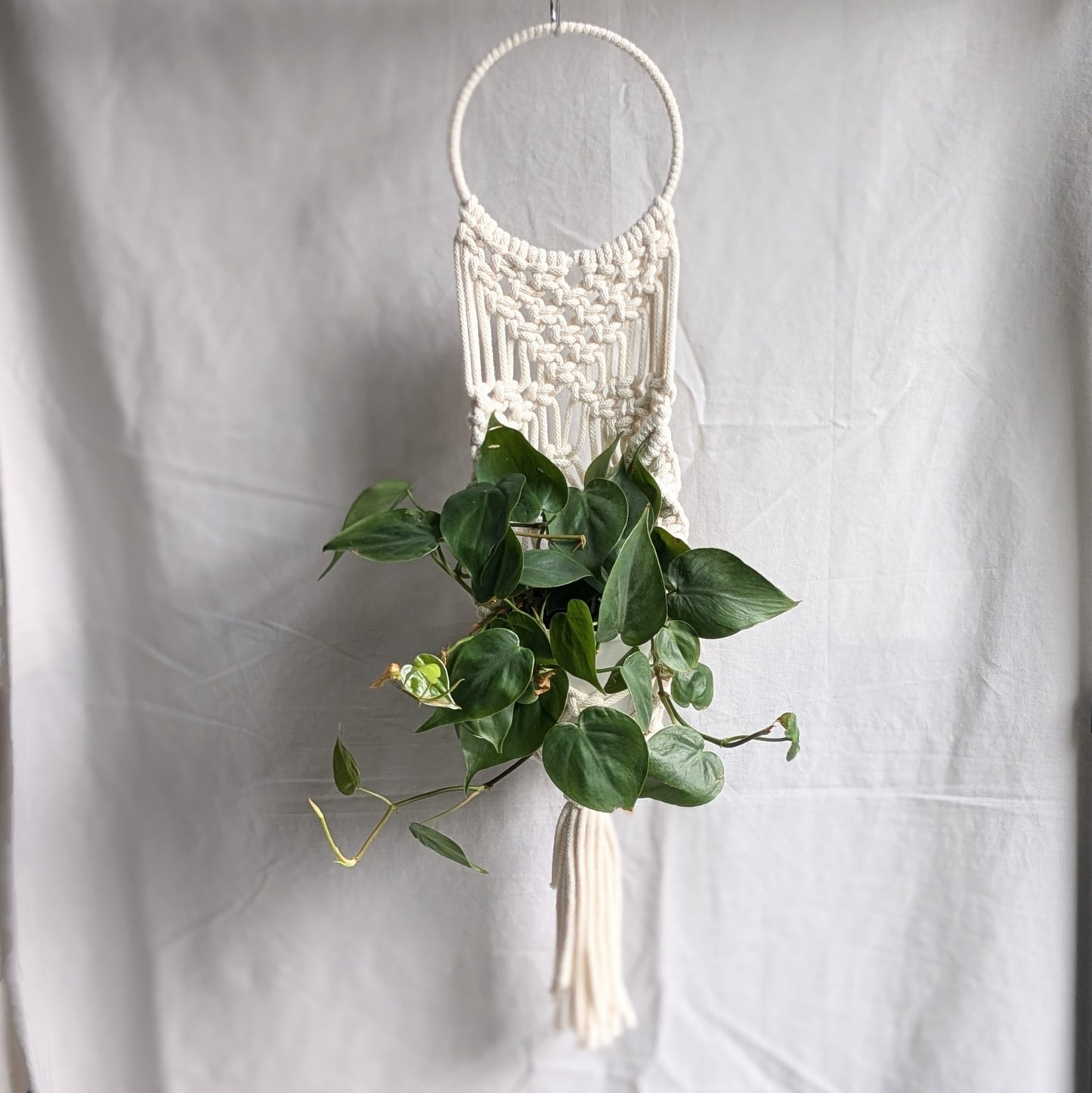 Statement Macrame Wall Planter