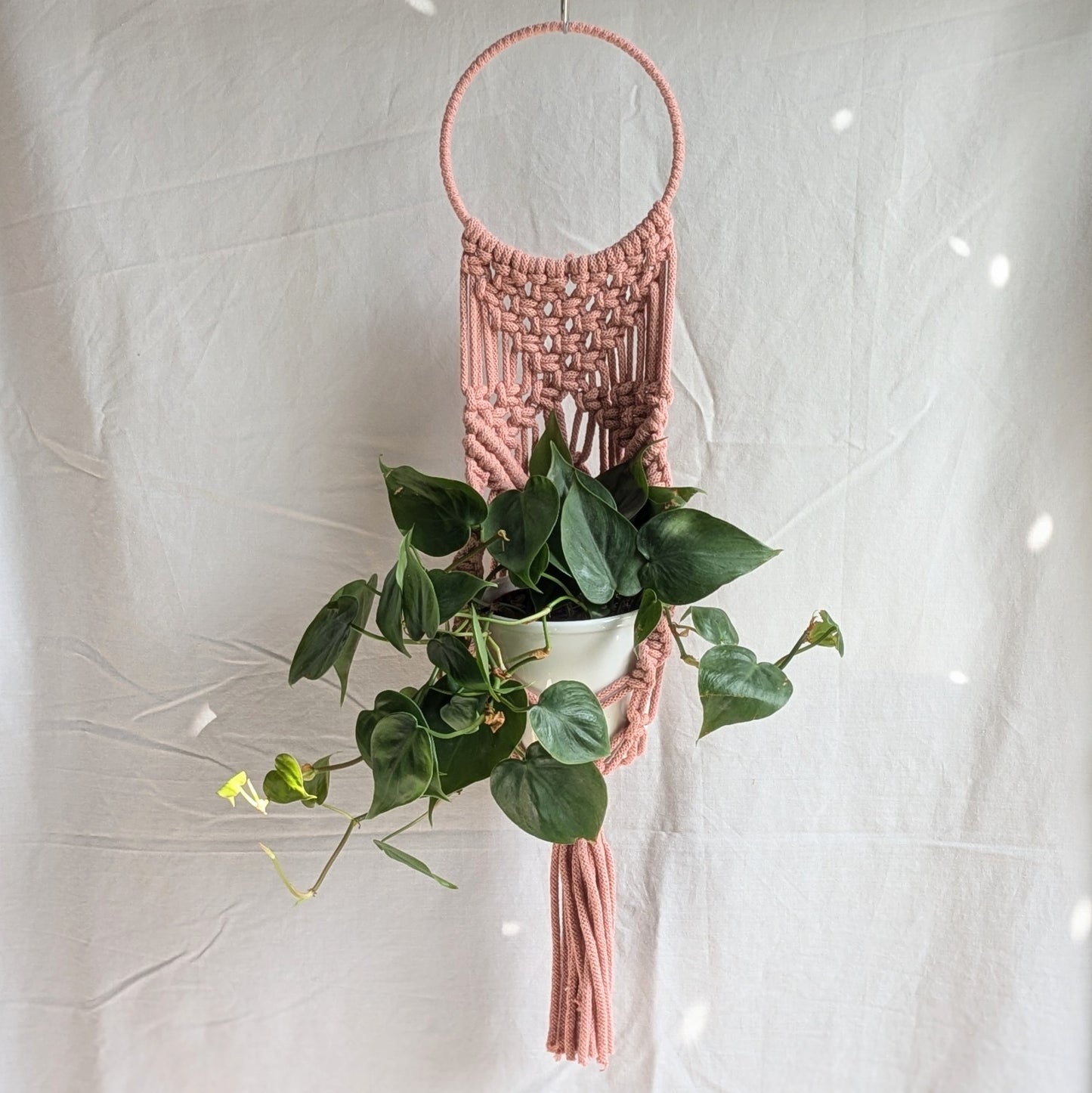Statement Macrame Wall Planter