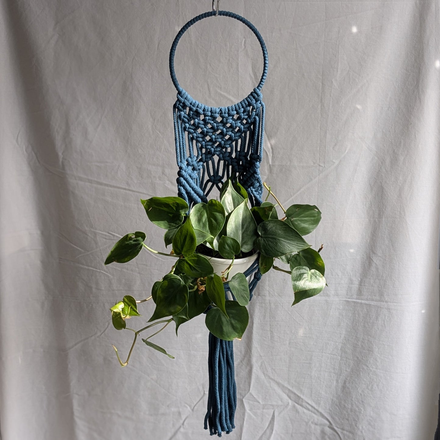 Statement Macrame Wall Planter