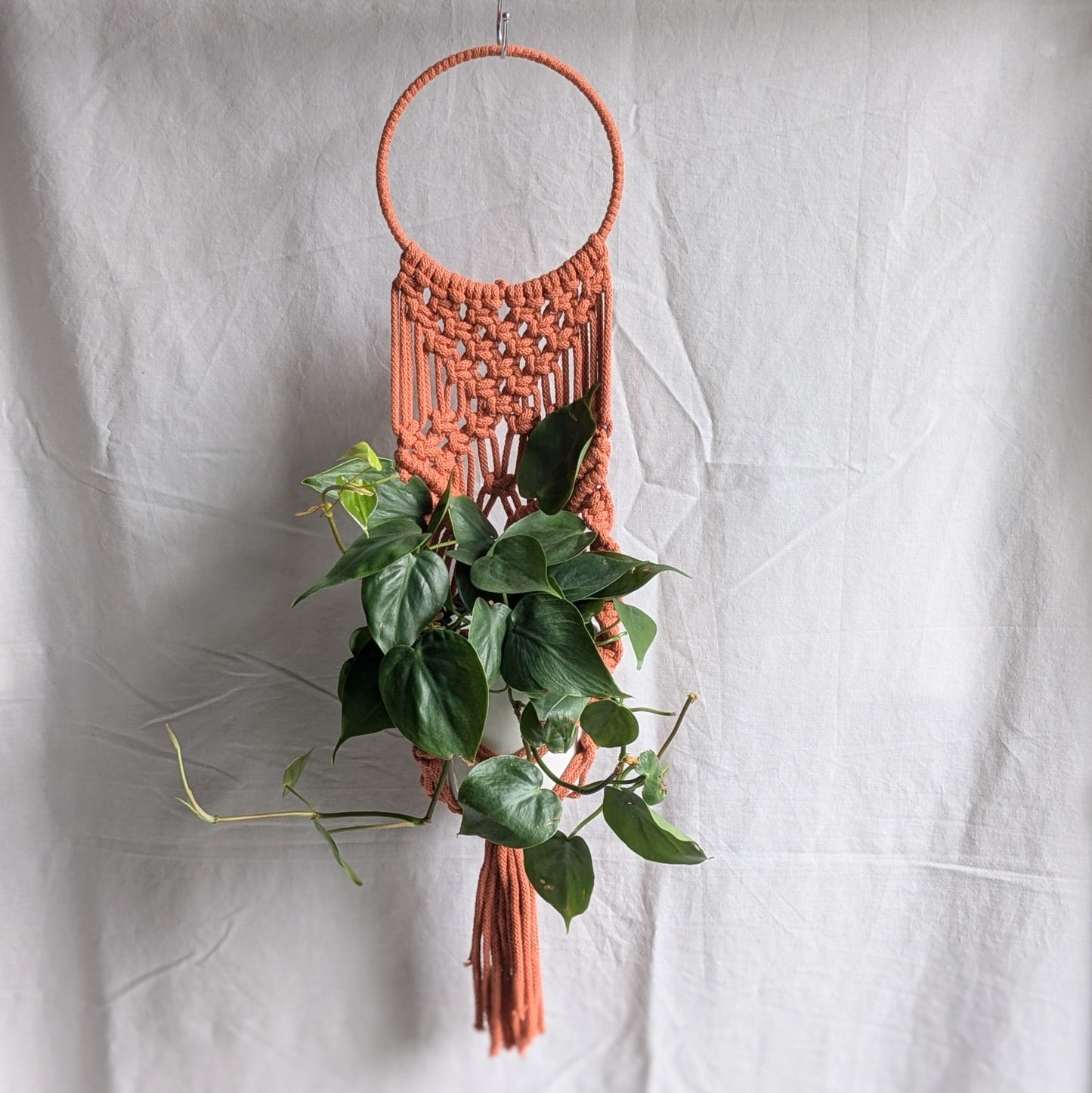 Statement Macrame Wall Planter