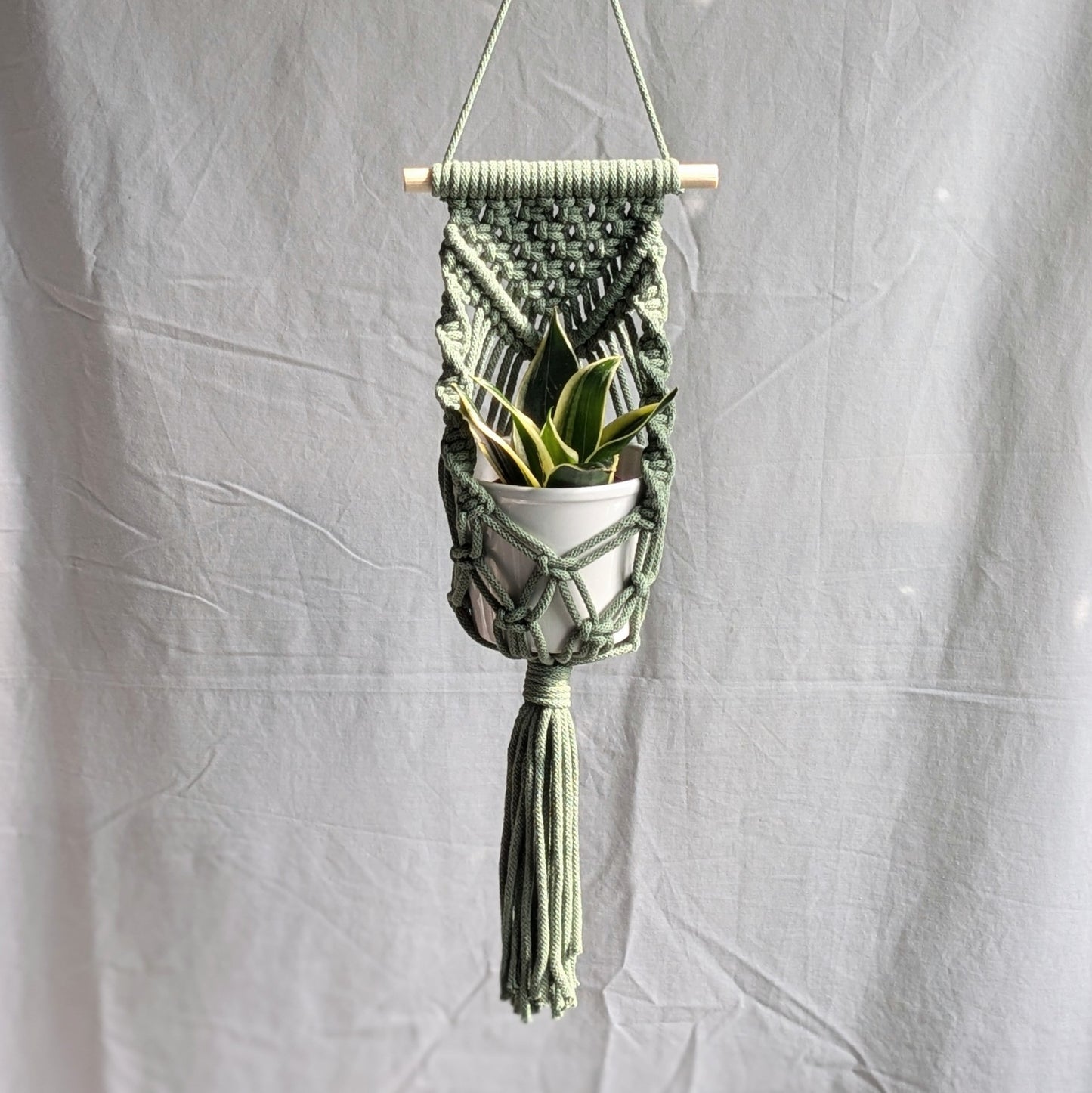 Macrame Wall Planter Workshop | Sheffield | Wednesday 12th November, 6pm