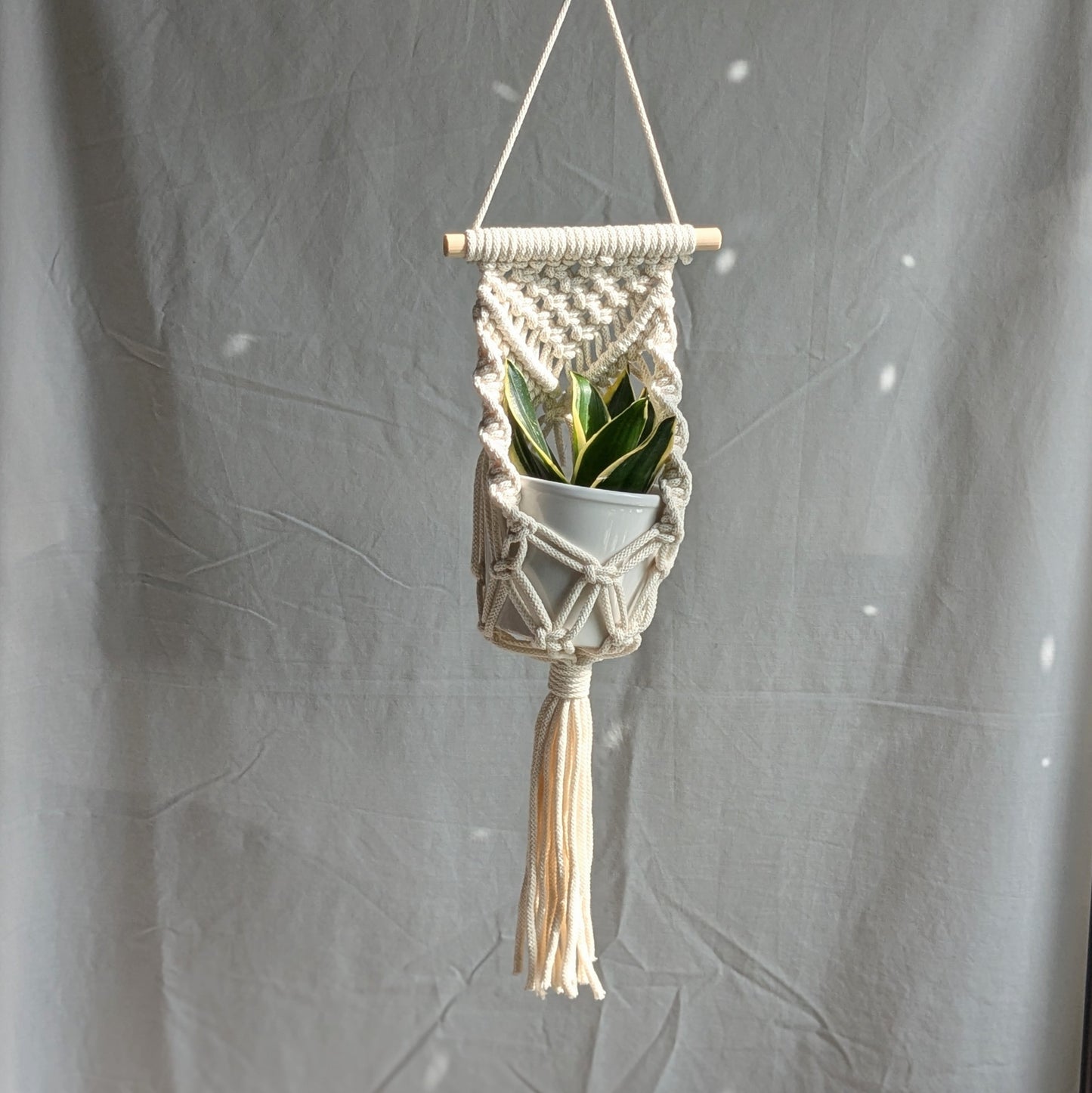 Macrame Wall Planter Workshop | Sheffield | Wednesday 12th November, 6pm