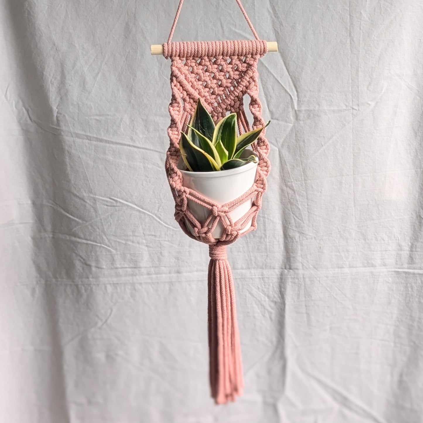 Macrame Wall Planter Workshop | Sheffield | Wednesday 12th November, 6pm
