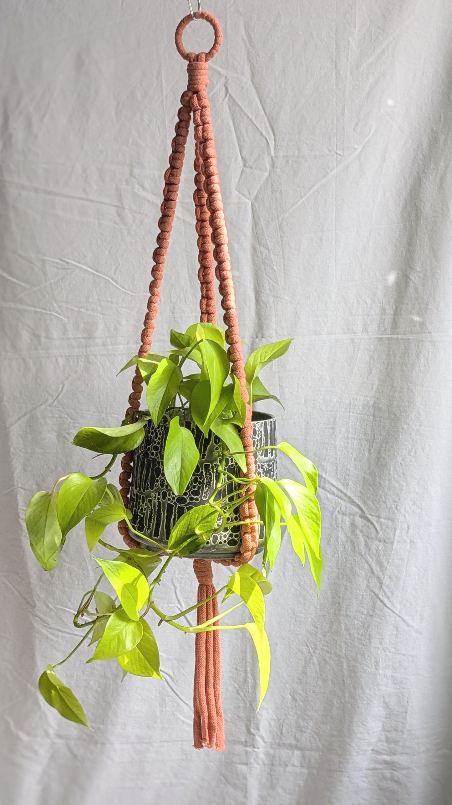 Extra Large Plant Hanger