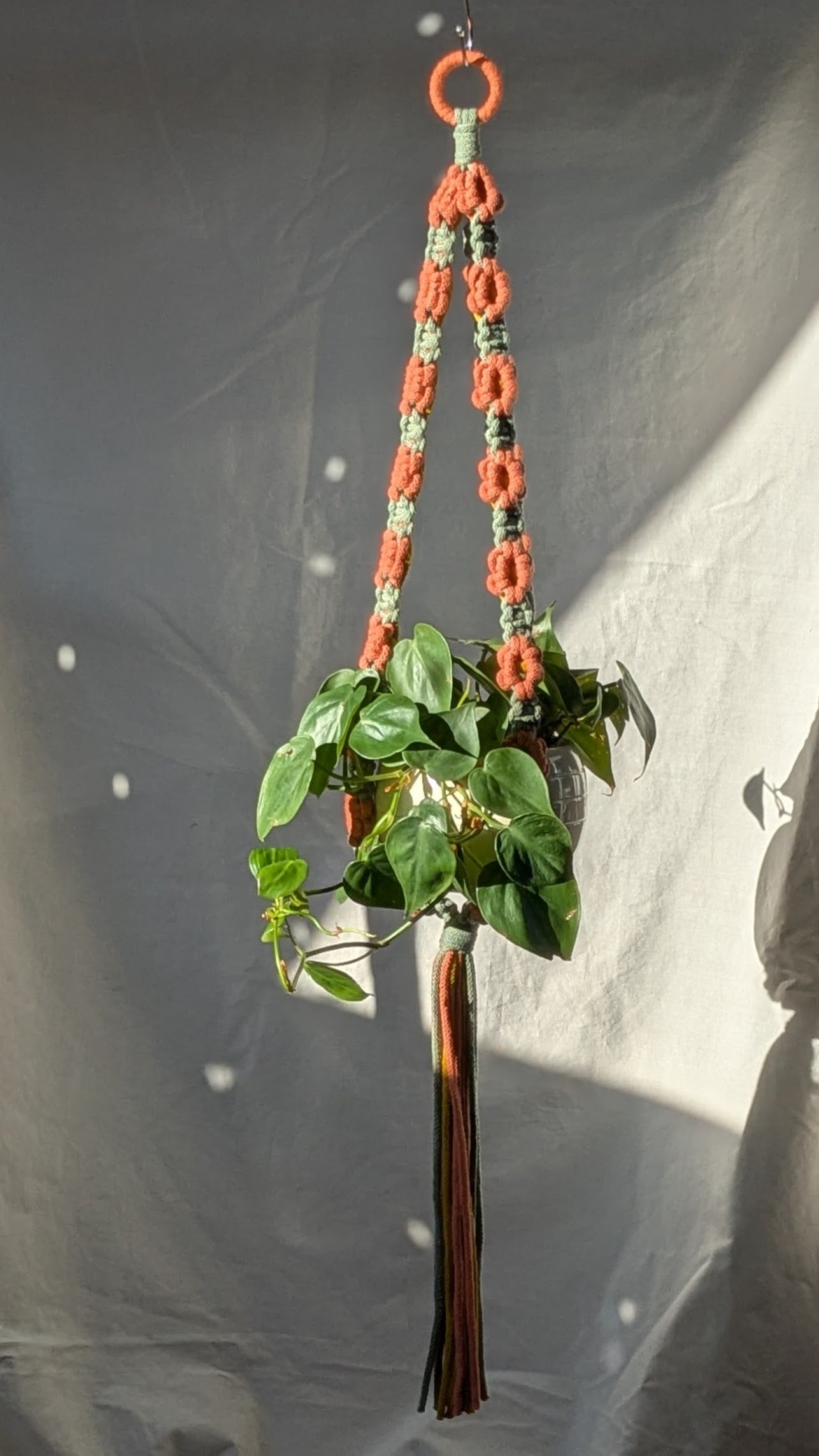 Flower Power Plant Hanger