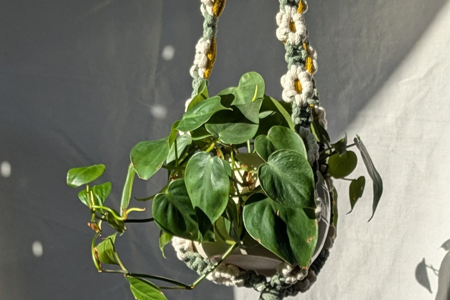 Flower Power Plant Hanger