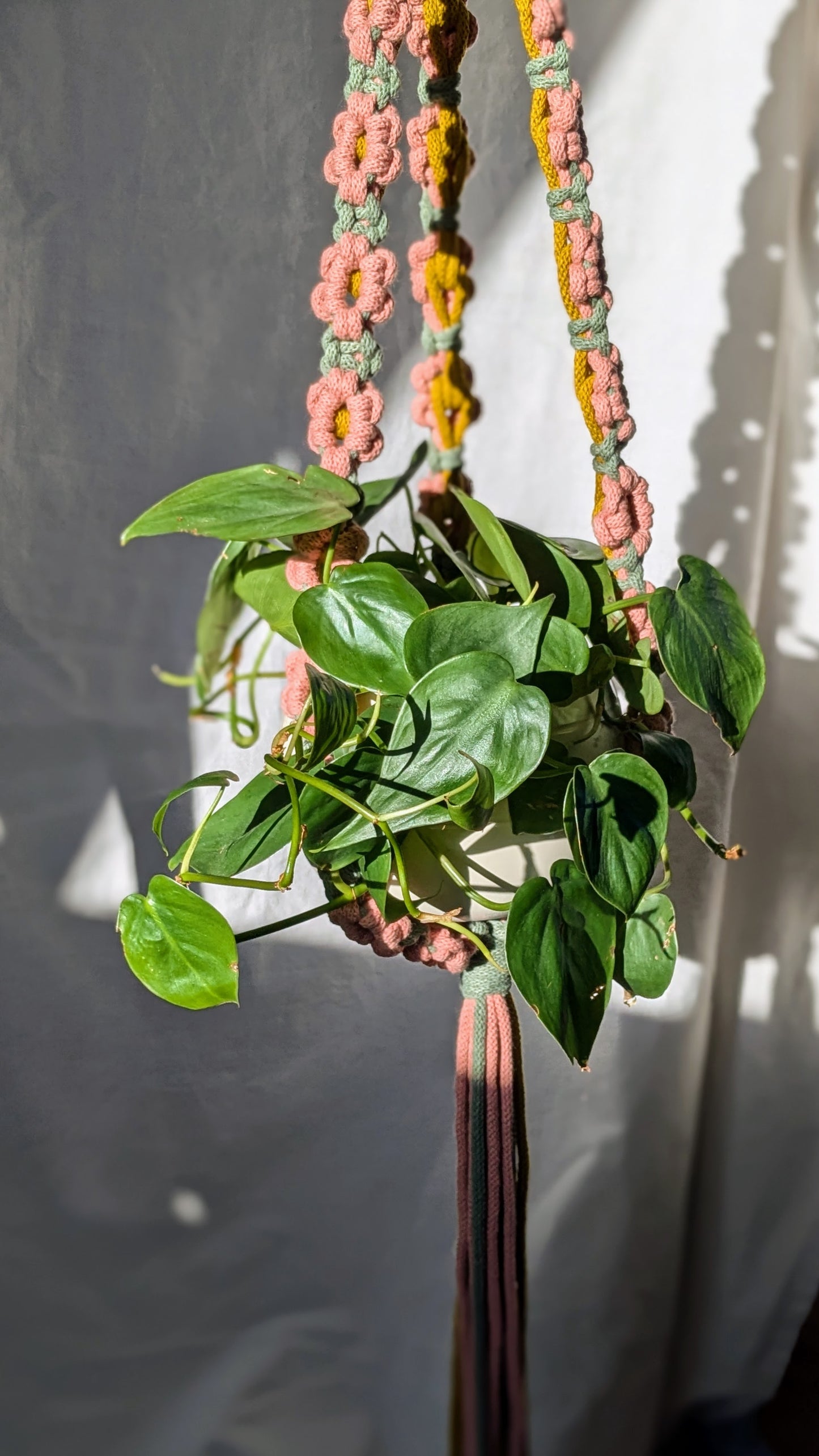 Flower Power Plant Hanger