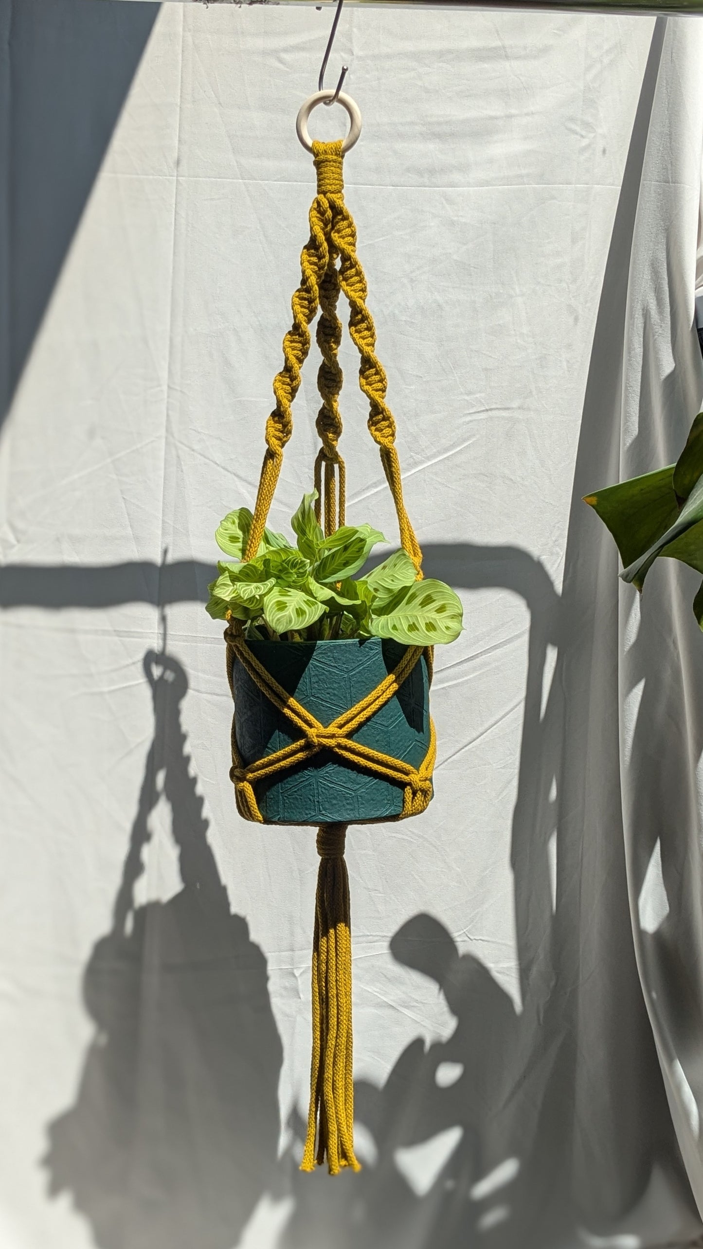 Macrame Plant Hanger Kit - Beginner Friendly