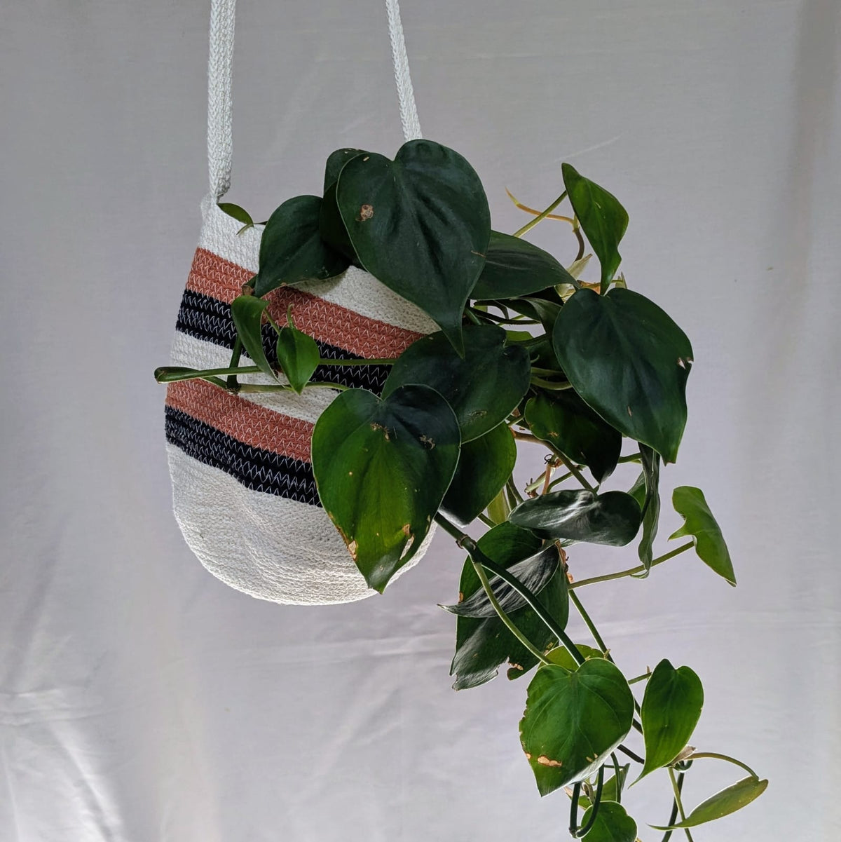 Stripe Hanging Basket | Super Seconds Festival