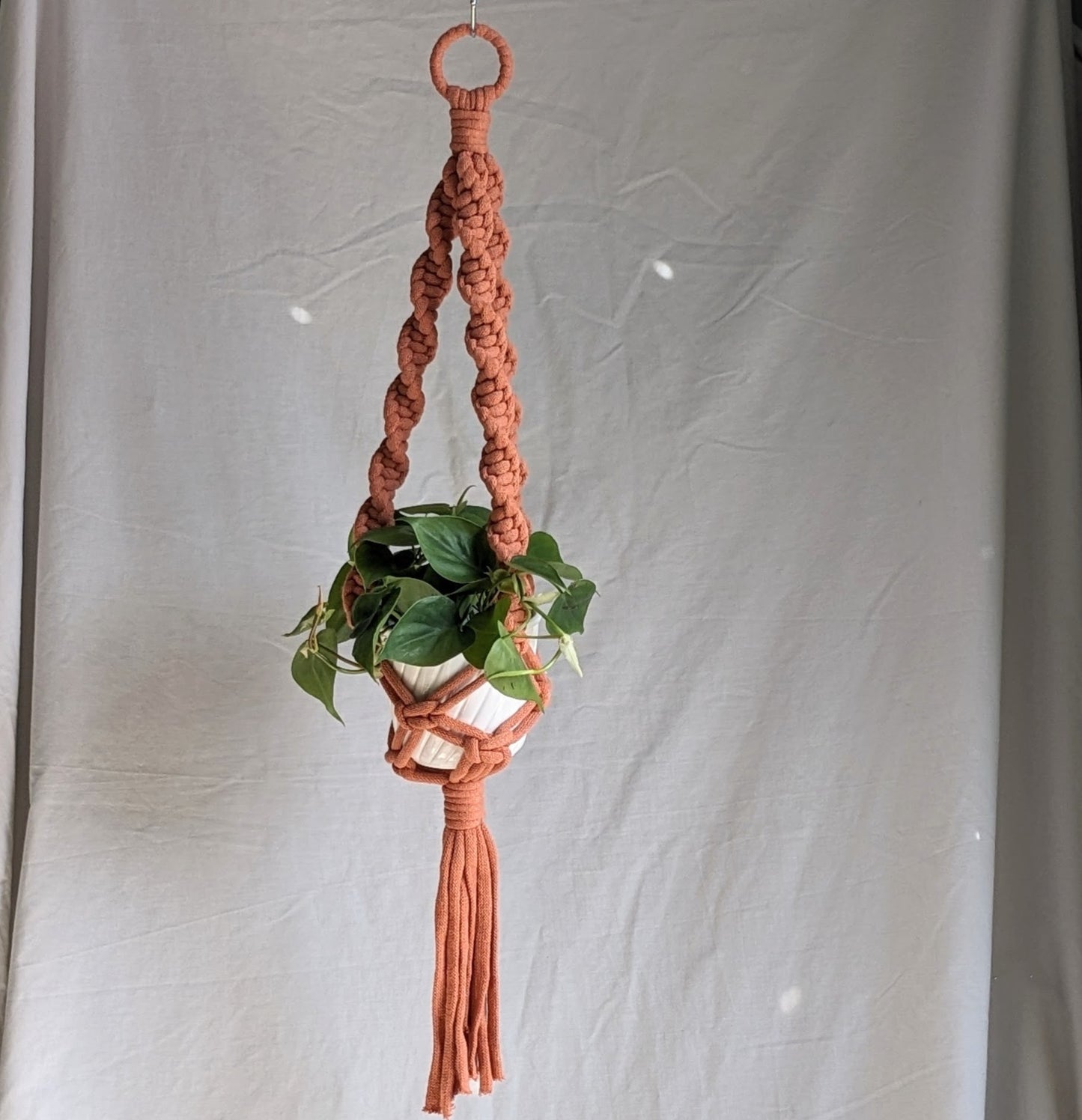 Marshmallow Plant Hanger
