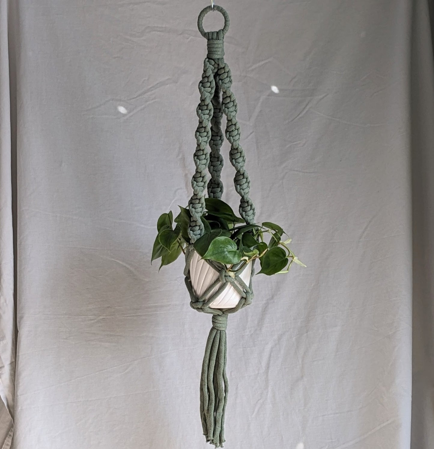 Marshmallow Plant Hanger