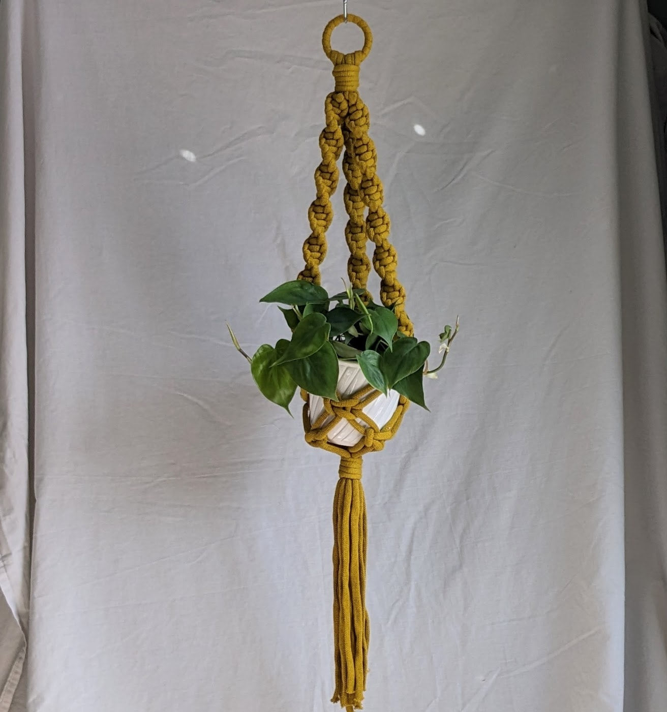 Marshmallow Plant Hanger