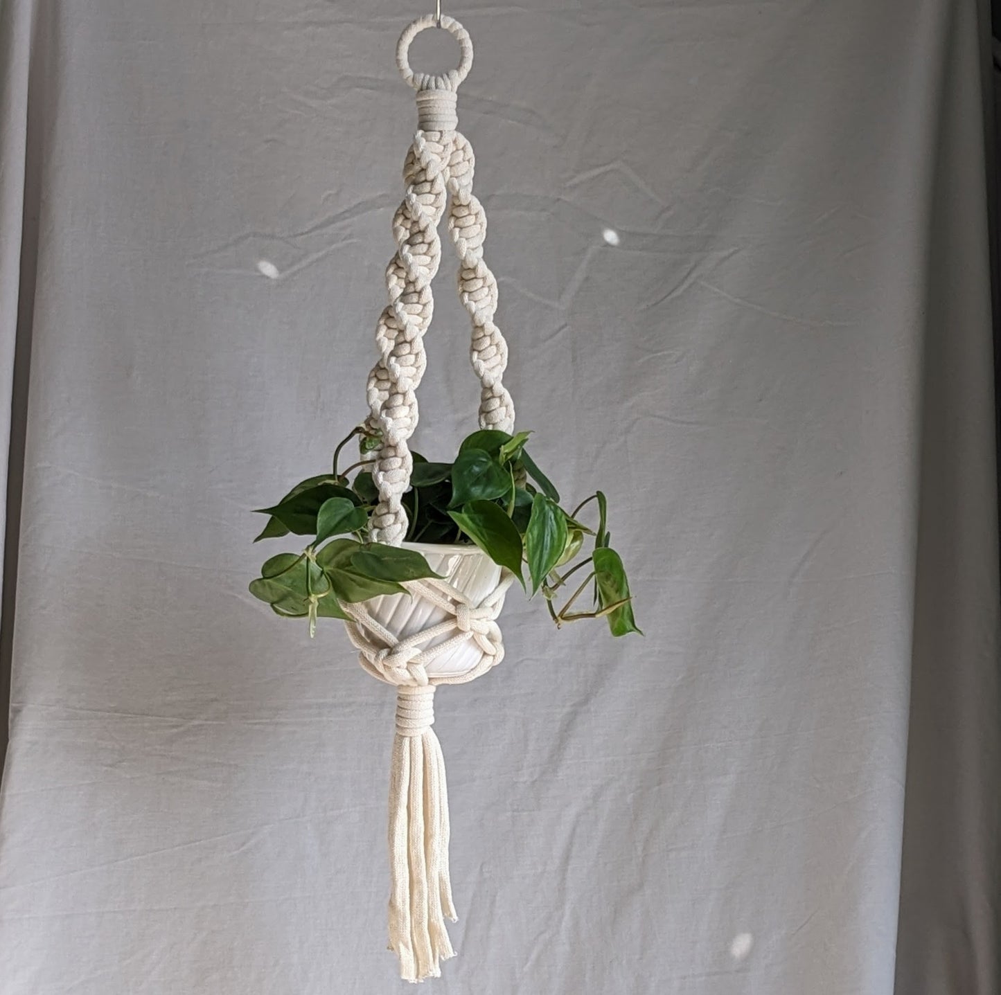 Marshmallow Plant Hanger