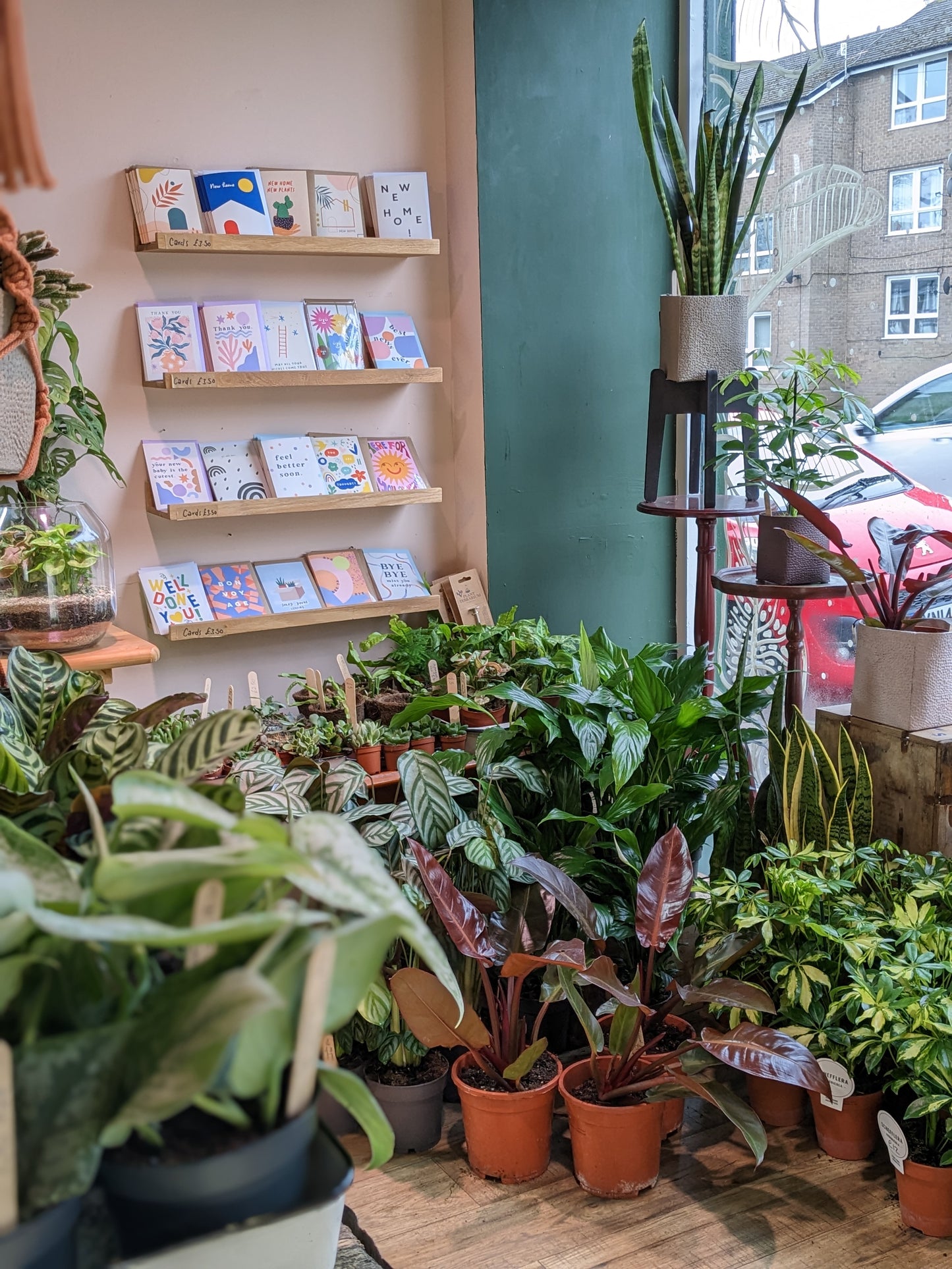 Macrame Wall Planter Workshop | Sheffield | Wednesday 12th November, 6pm