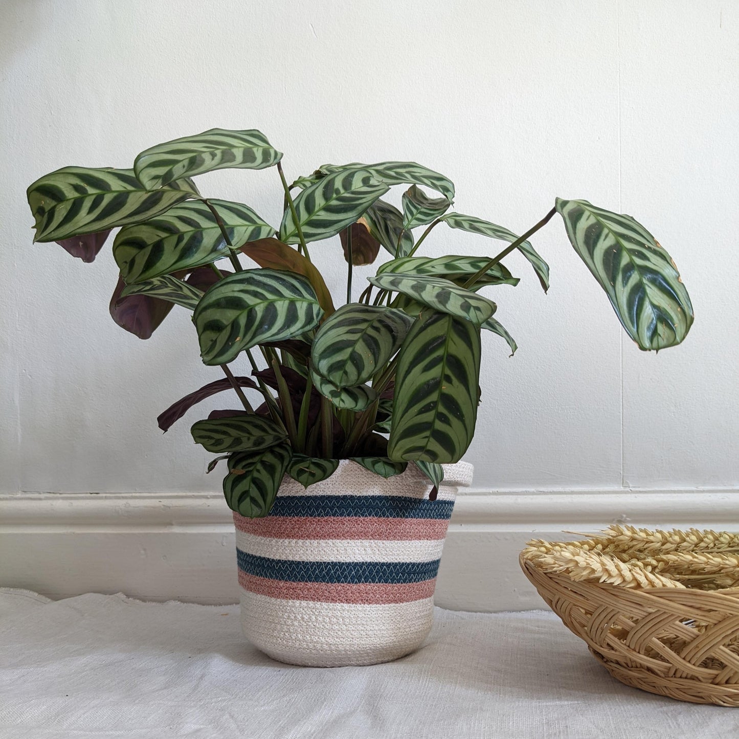 Stripey Rope Basket