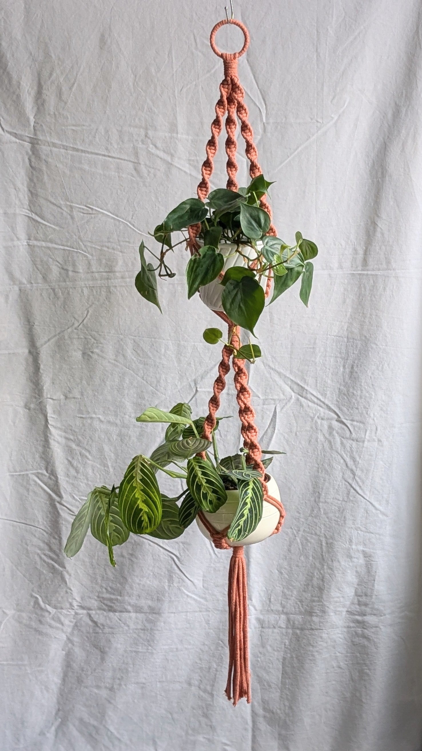 diy double plant hanger Double Macrame Plant Hanger