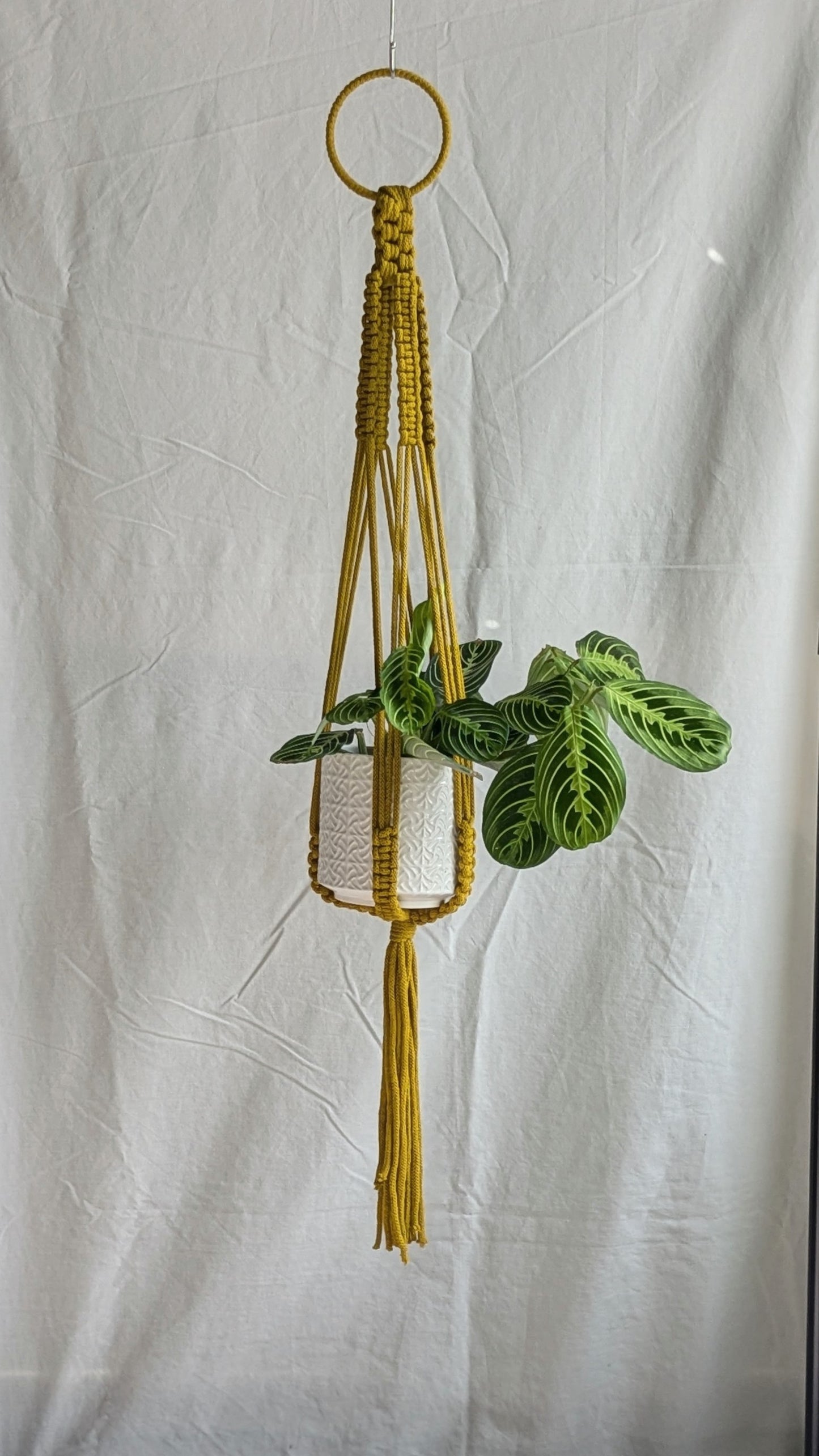 Large Macrame Plant Hanger