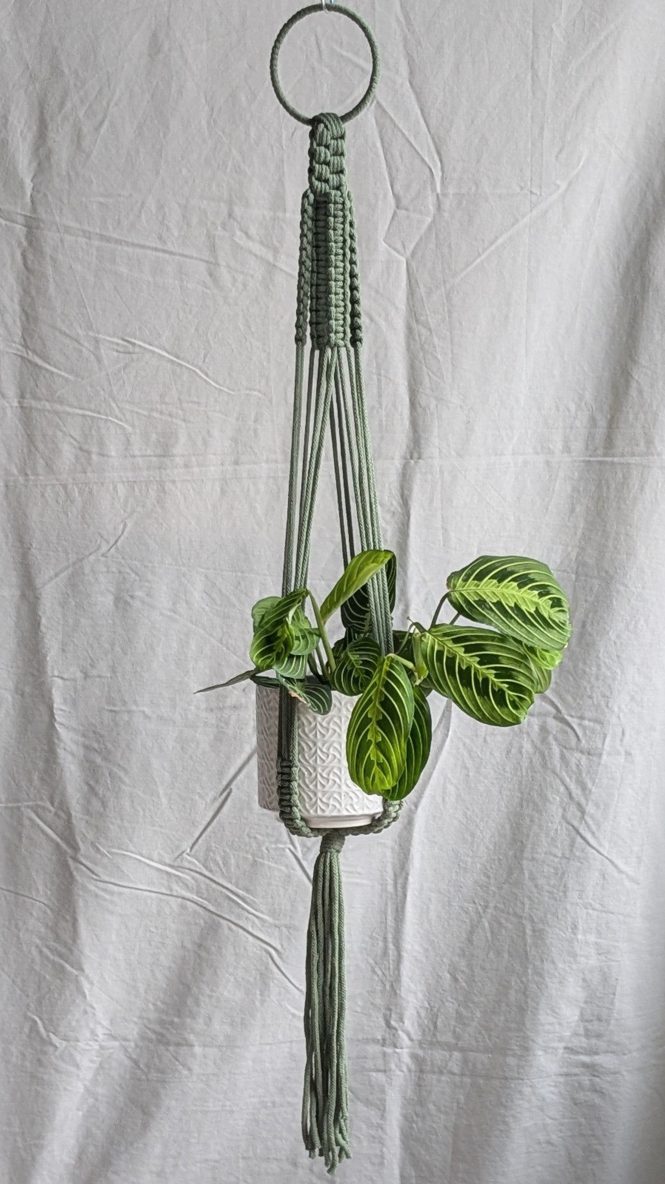 Large Macrame Plant Hanger