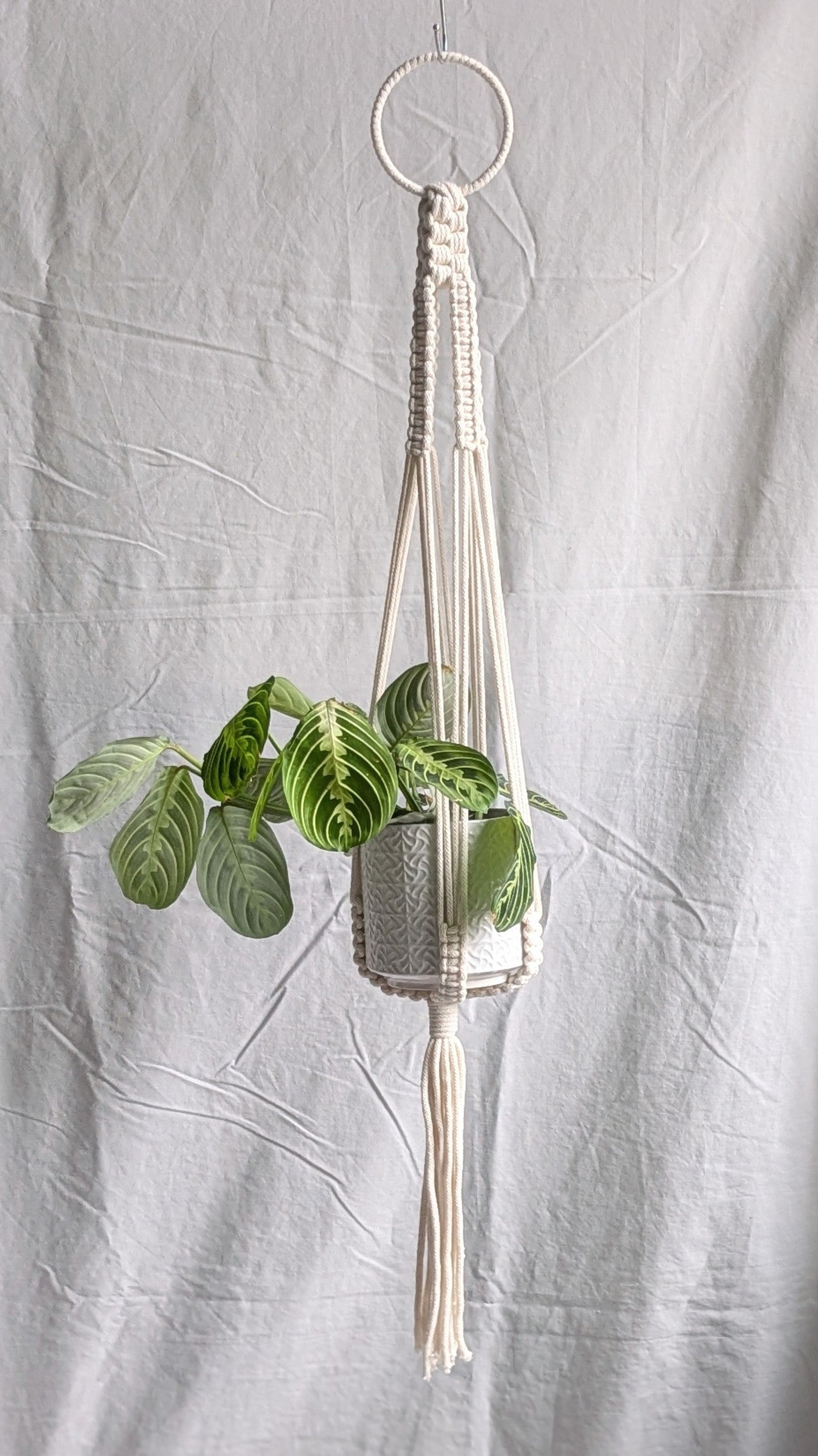 Large Macrame Plant Hanger