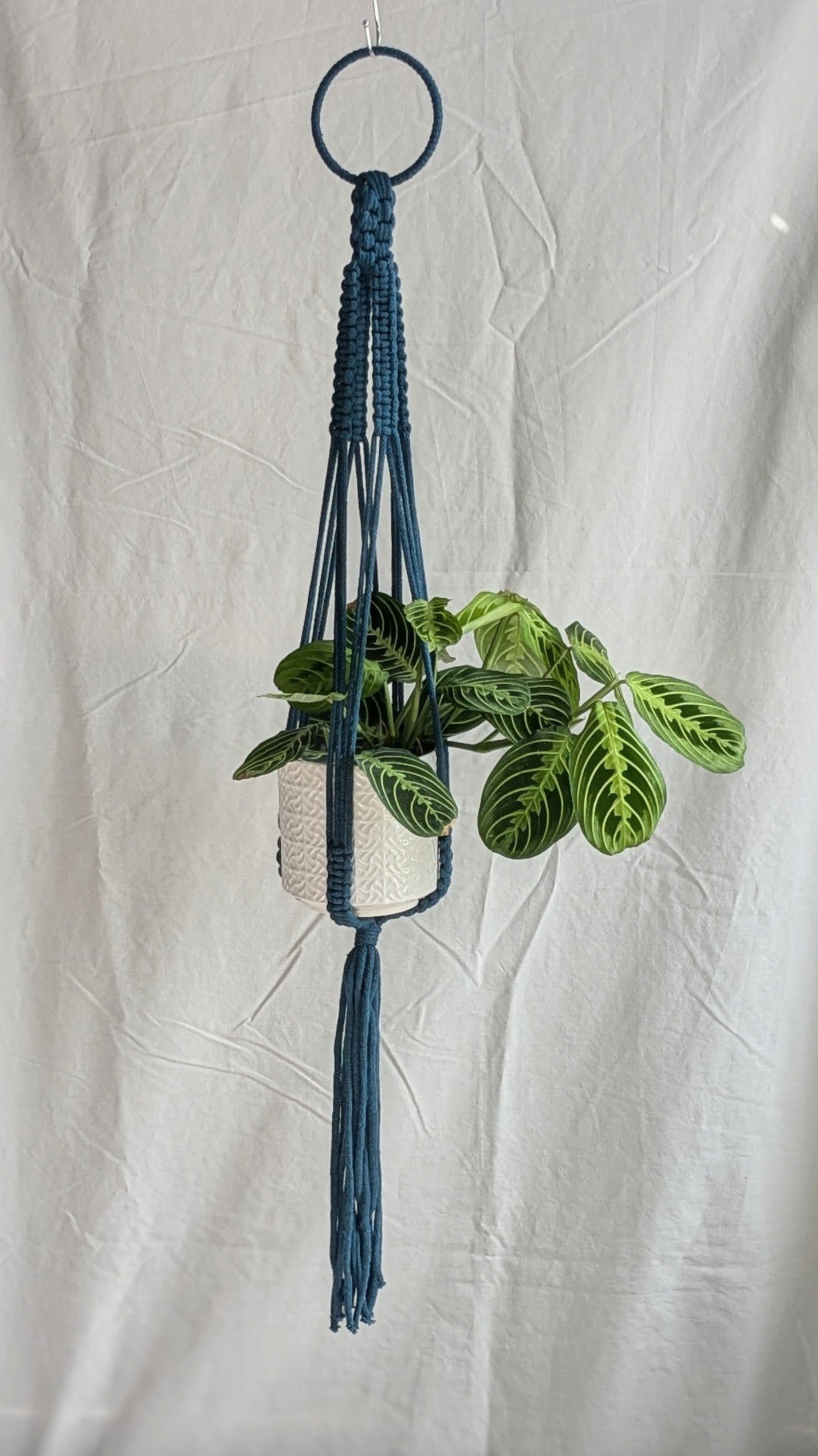 Large Macrame Plant Hanger