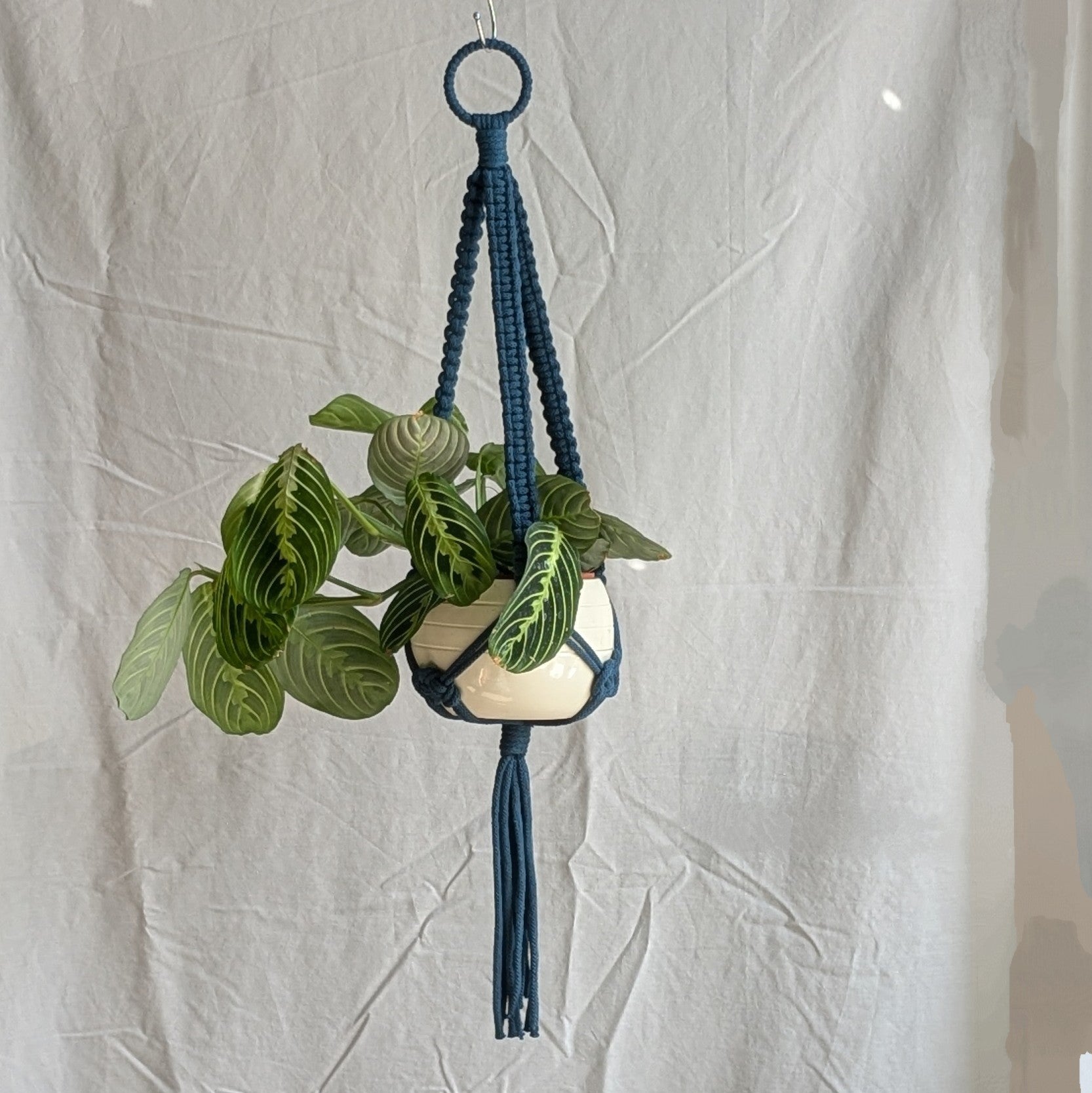 Charknots medium plant hanger in Dark Teal. Handmade in Sheffield from 100% recycled cotton.