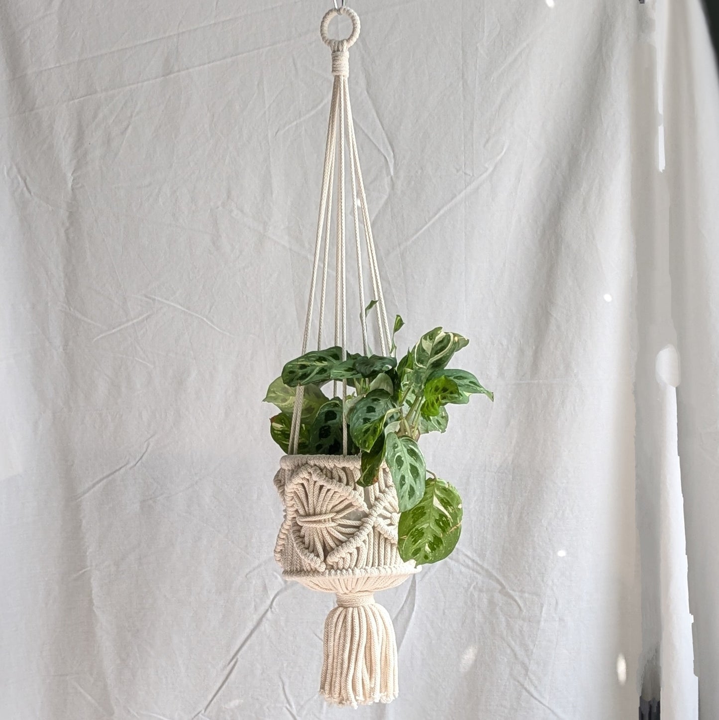 Ornate Macrame Hanging Basket