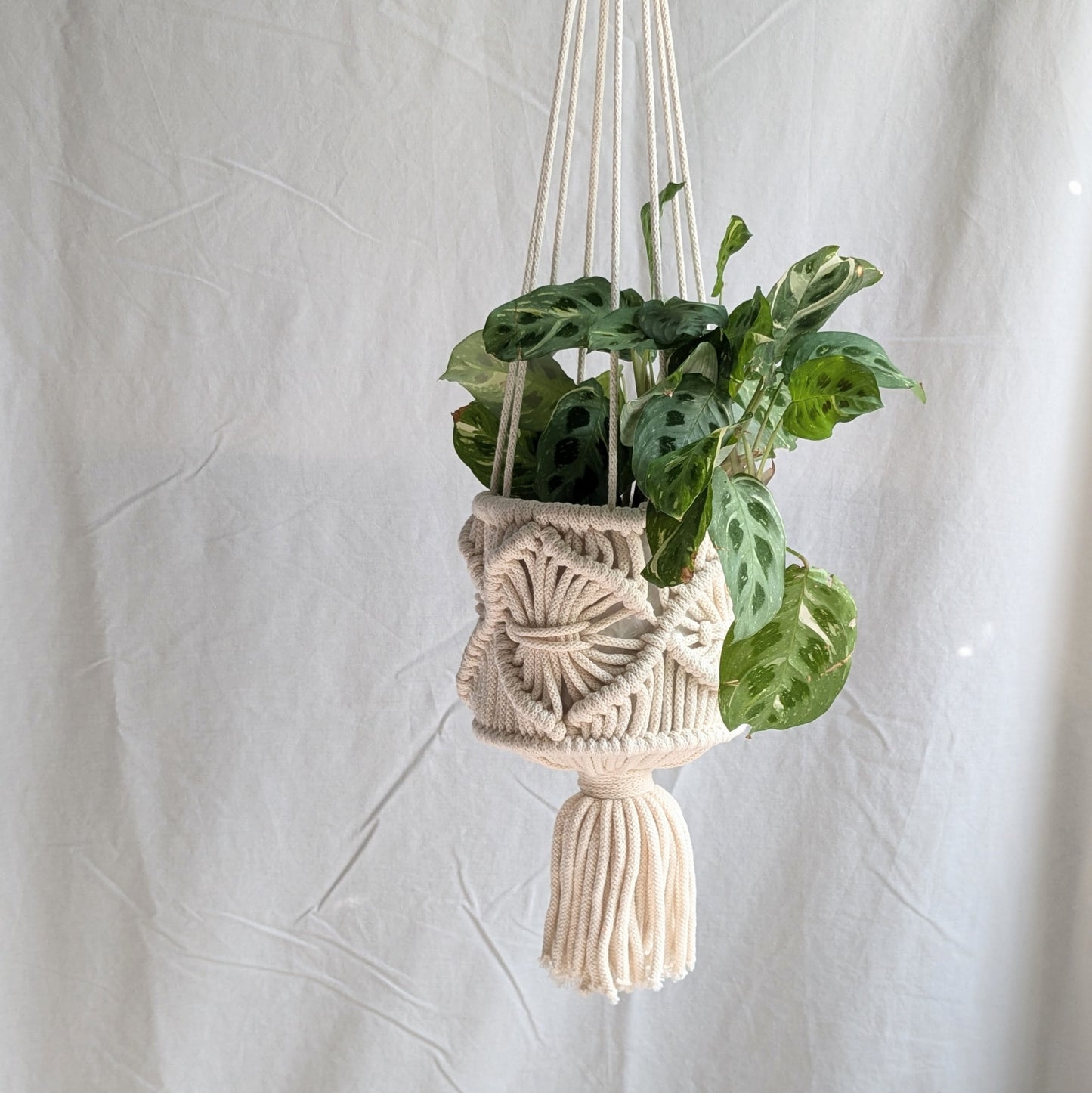 Ornate Macrame Hanging Basket