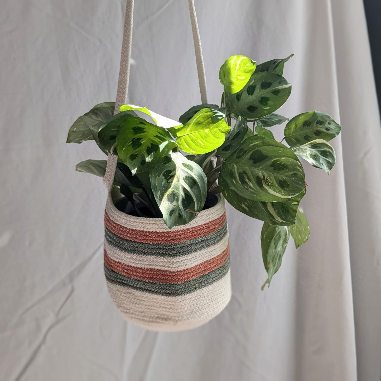 Stripey Hanging Basket