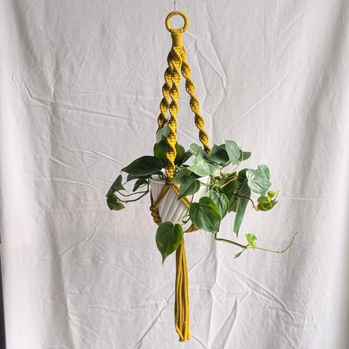 Spiral Macrame Plant Hanger