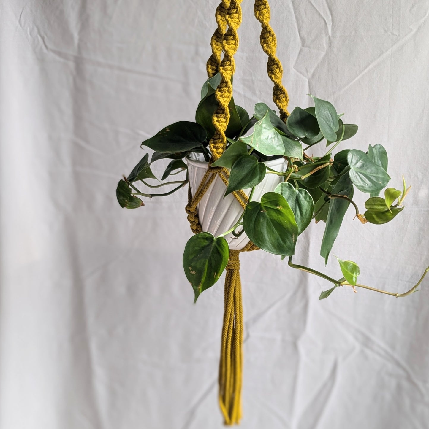 Spiral Macrame Plant Hanger