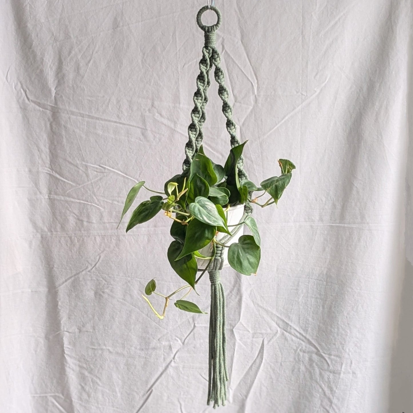 Spiral Macrame Plant Hanger