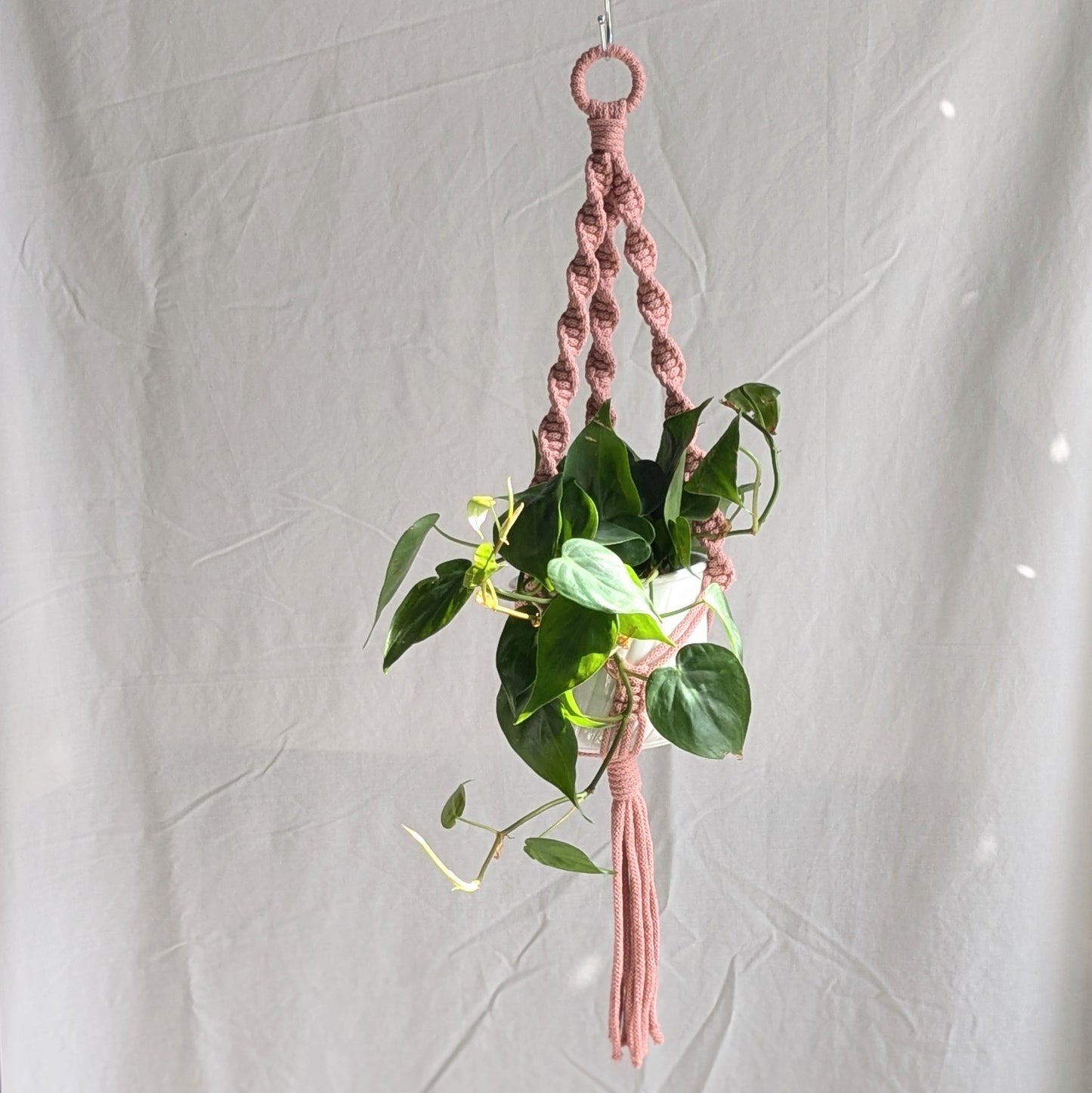 Spiral Macrame Plant Hanger