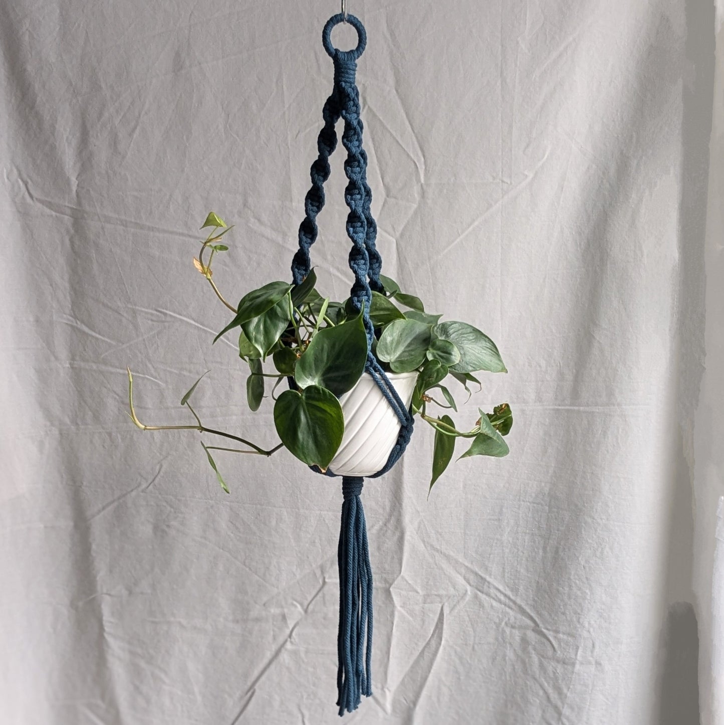 Spiral Macrame Plant Hanger