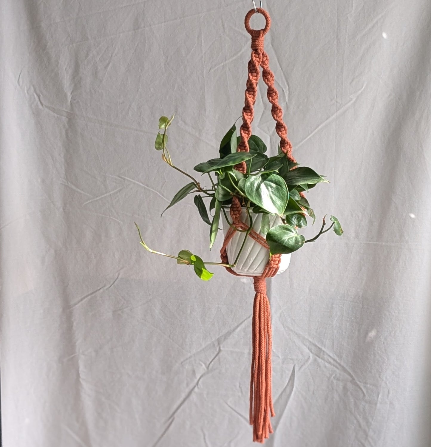 Spiral Macrame Plant Hanger